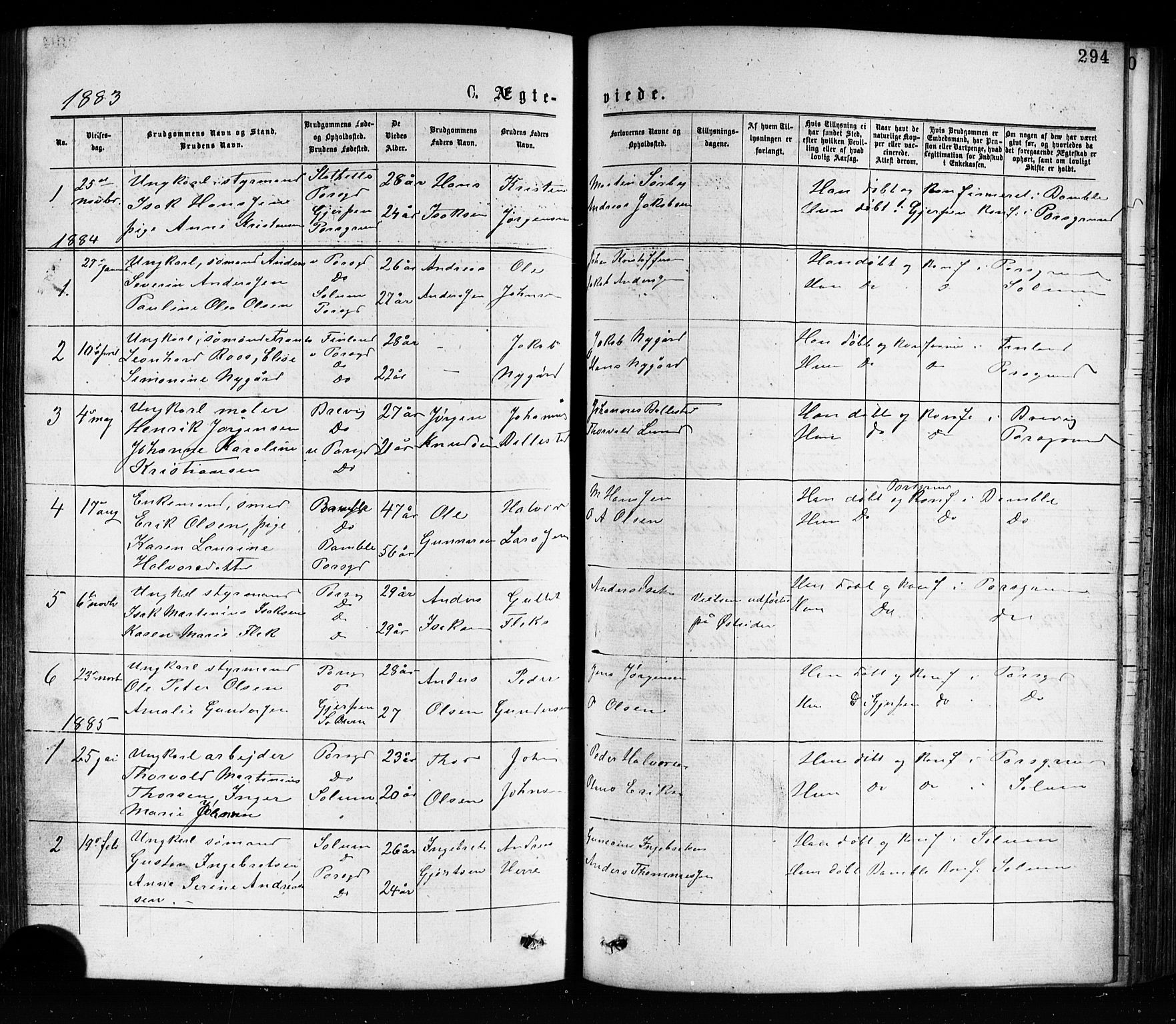 Porsgrunn kirkebøker , SAKO/A-104/G/Ga/L0003: Parish register (copy) no. I 3, 1877-1915, p. 294