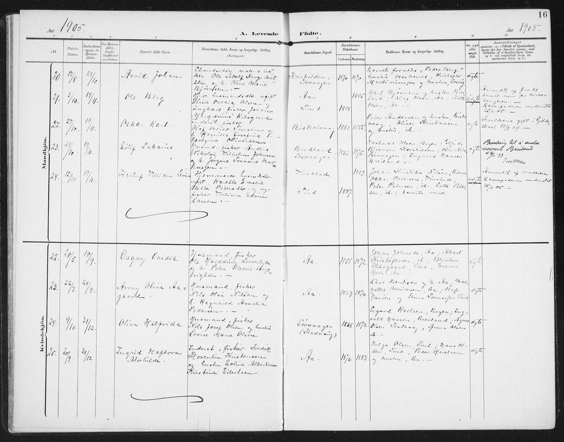 Ministerialprotokoller, klokkerbøker og fødselsregistre - Nordland, AV/SAT-A-1459/886/L1221: Parish register (official) no. 886A03, 1903-1913, p. 16