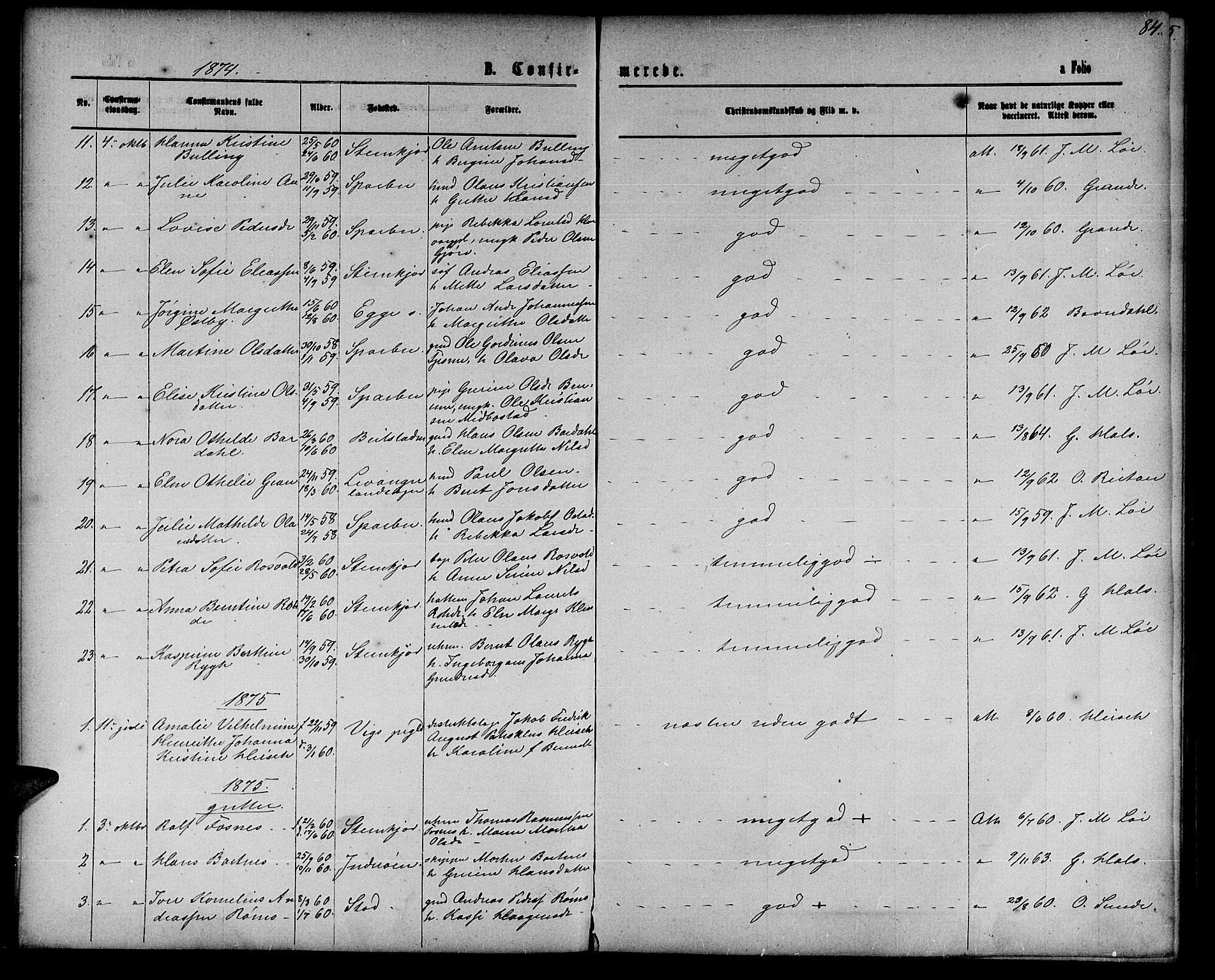 Ministerialprotokoller, klokkerbøker og fødselsregistre - Nord-Trøndelag, AV/SAT-A-1458/739/L0373: Parish register (copy) no. 739C01, 1865-1882, p. 84