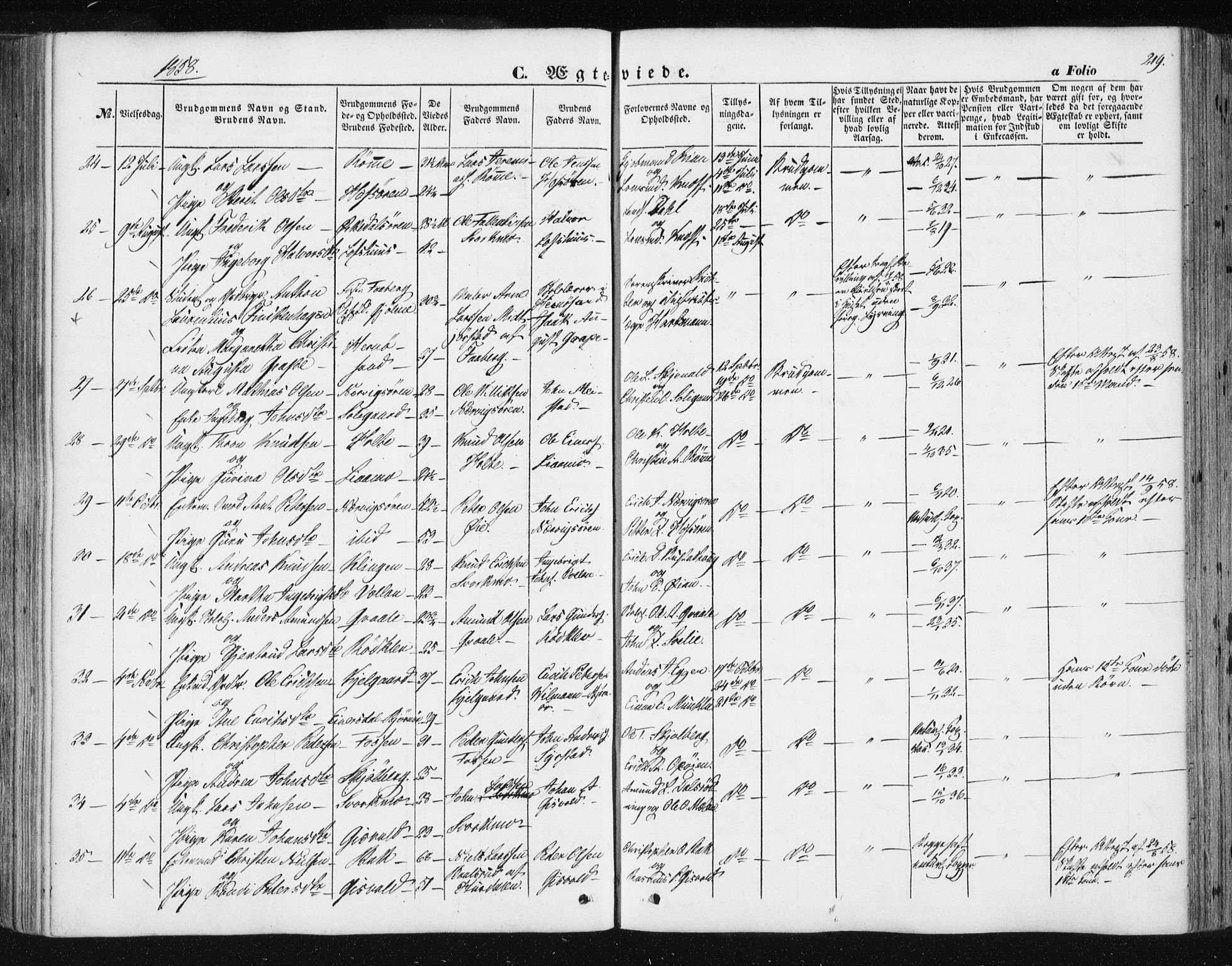 Ministerialprotokoller, klokkerbøker og fødselsregistre - Sør-Trøndelag, SAT/A-1456/668/L0806: Parish register (official) no. 668A06, 1854-1869, p. 219