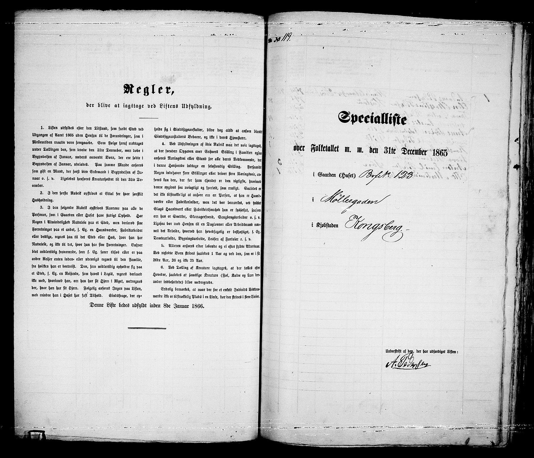 RA, 1865 census for Kongsberg/Kongsberg, 1865, p. 248