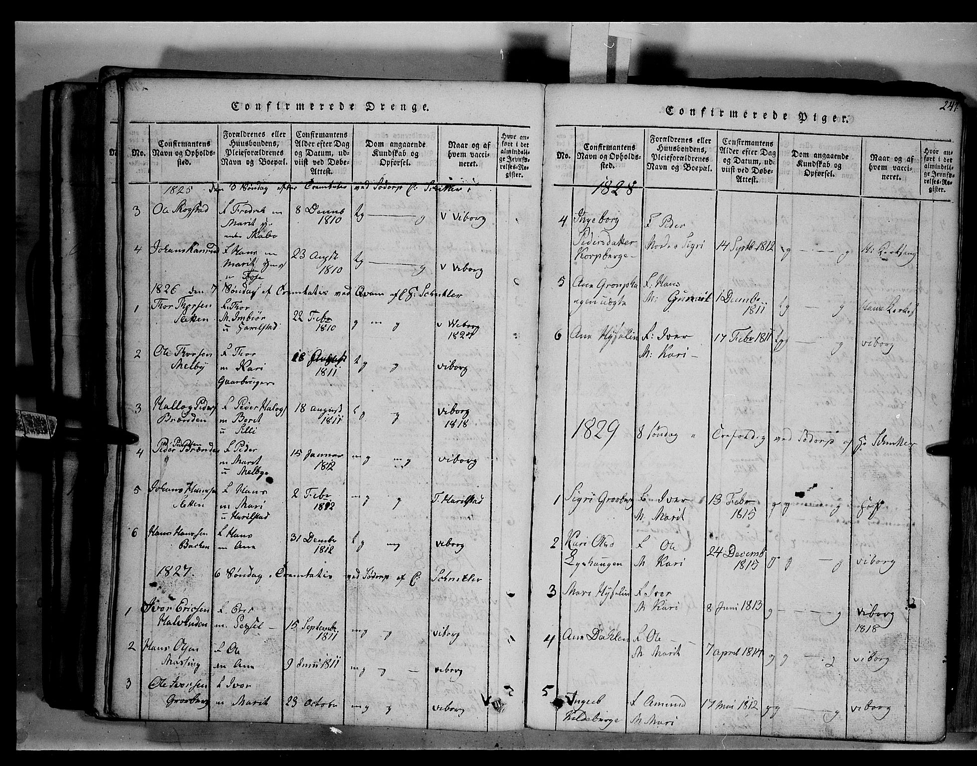 Fron prestekontor, AV/SAH-PREST-078/H/Ha/Hab/L0003: Parish register (copy) no. 3, 1816-1850, p. 247