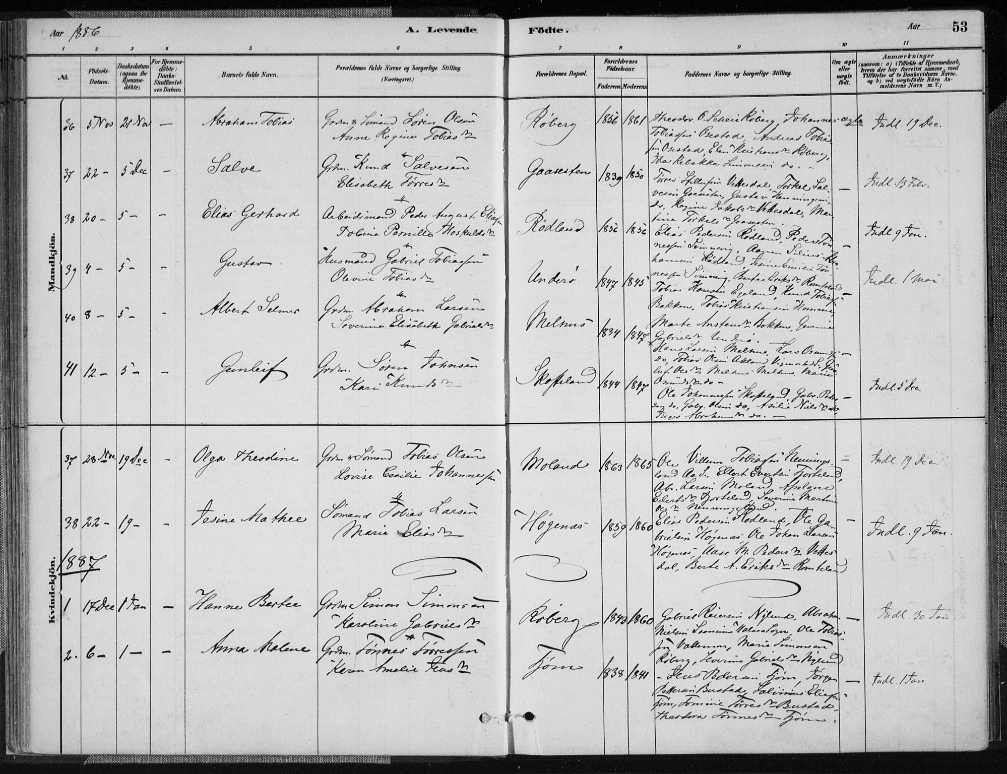 Sør-Audnedal sokneprestkontor, SAK/1111-0039/F/Fa/Fab/L0009: Parish register (official) no. A 9, 1880-1895, p. 53