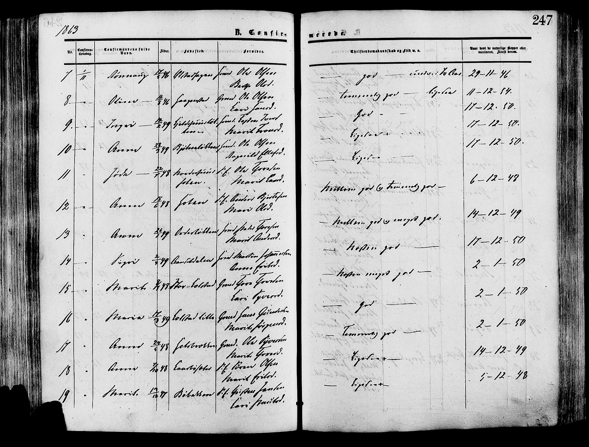 Lesja prestekontor, SAH/PREST-068/H/Ha/Haa/L0008: Parish register (official) no. 8, 1854-1880, p. 247