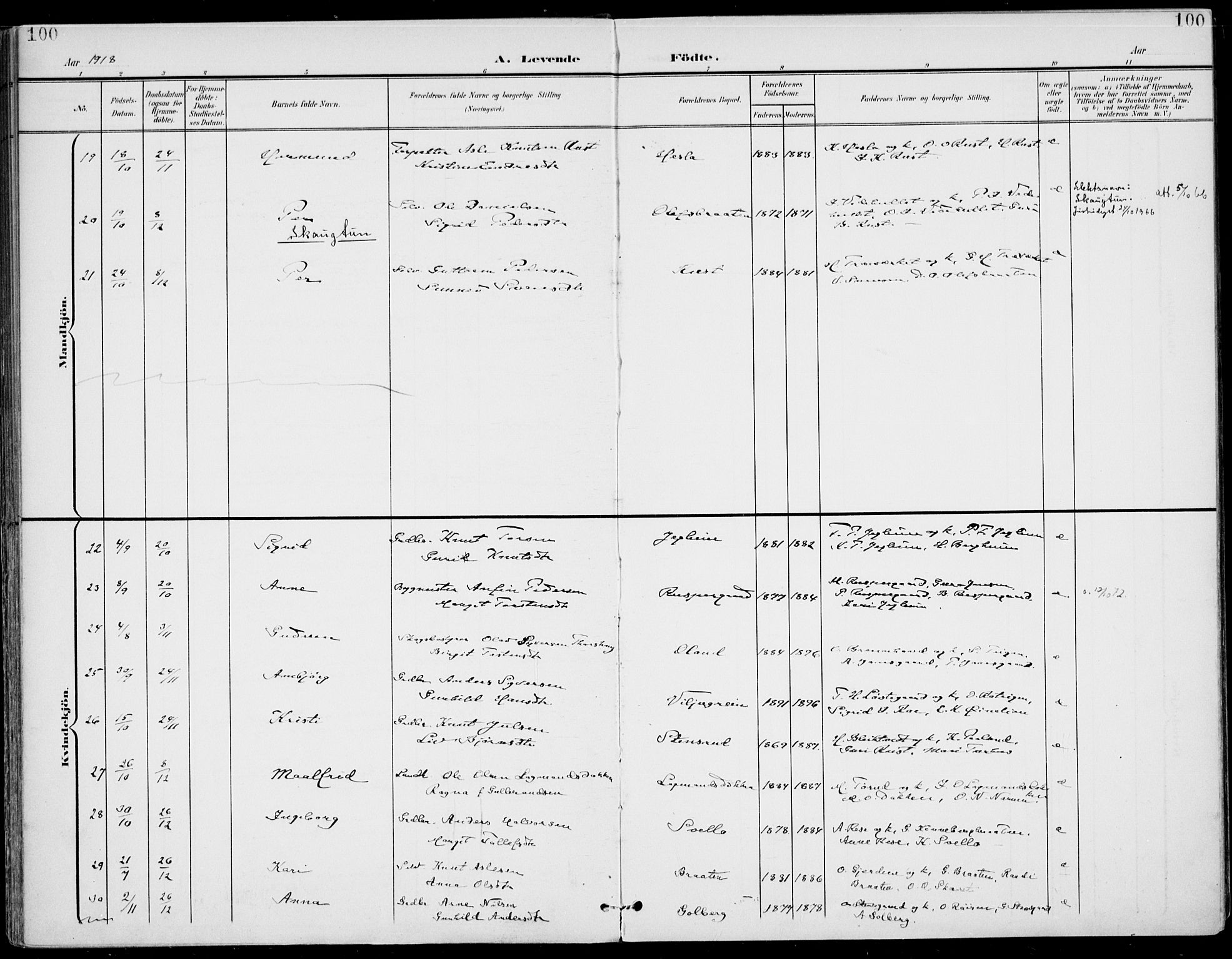 Gol kirkebøker, AV/SAKO-A-226/F/Fa/L0006: Parish register (official) no. I 6, 1901-1918, p. 100