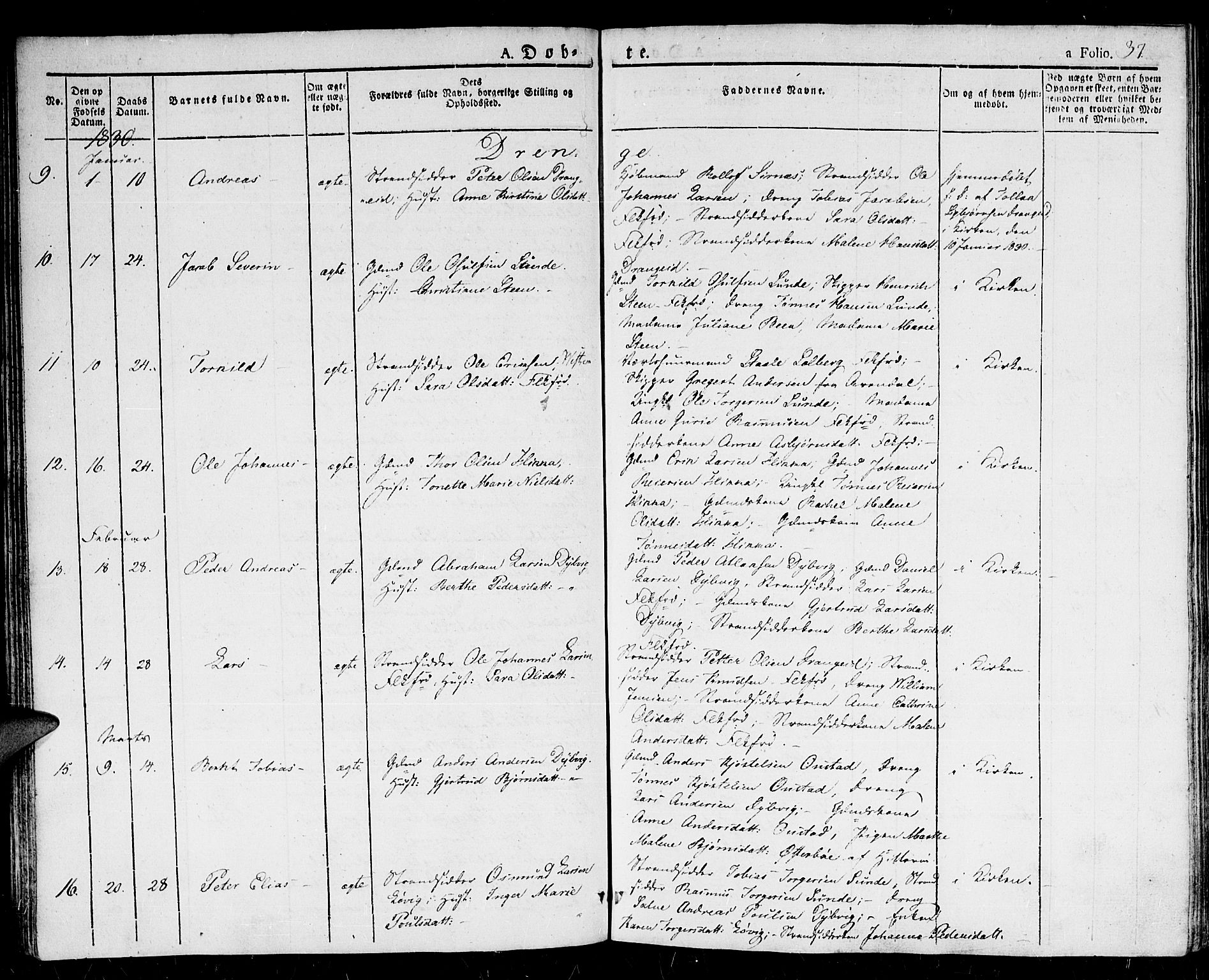 Flekkefjord sokneprestkontor, AV/SAK-1111-0012/F/Fb/Fbc/L0004: Parish register (copy) no. B 4, 1827-1846, p. 37