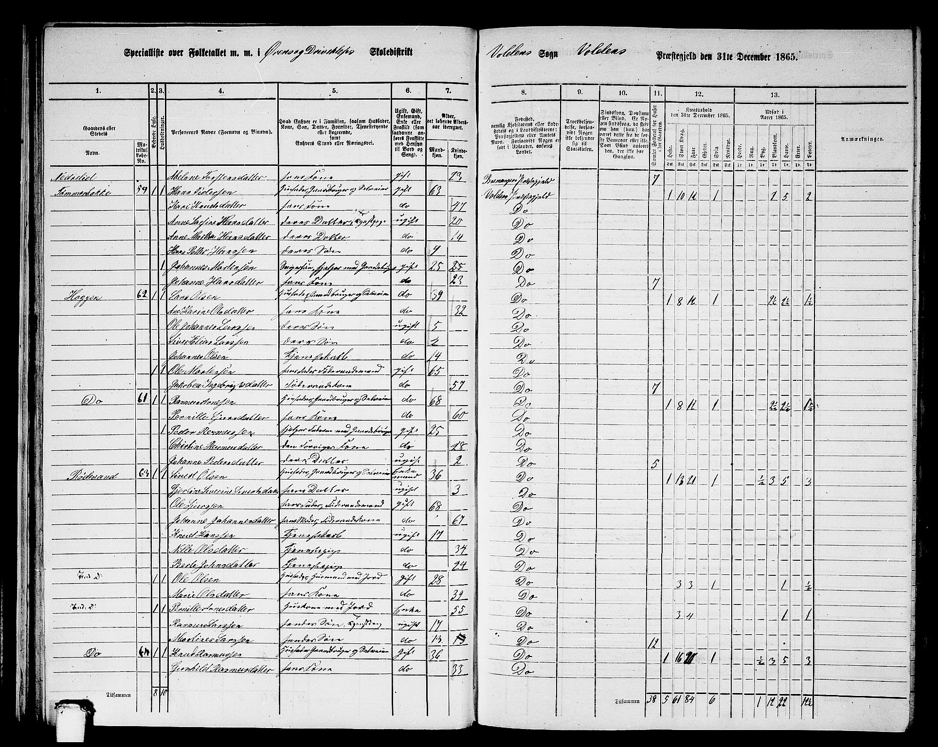 RA, 1865 census for Volda, 1865, p. 40