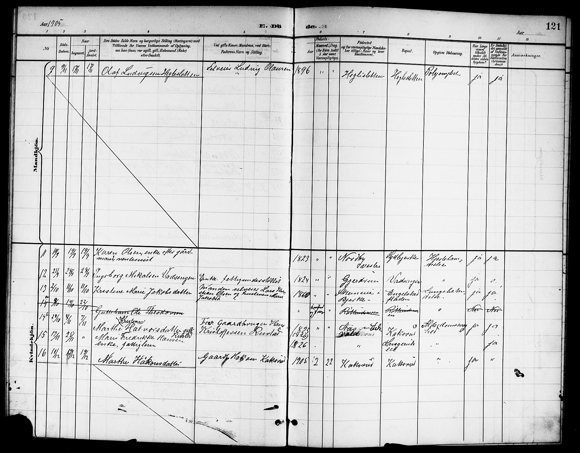 Nannestad prestekontor Kirkebøker, SAO/A-10414a/G/Ga/L0002: Parish register (copy) no. I 2, 1901-1913, p. 121