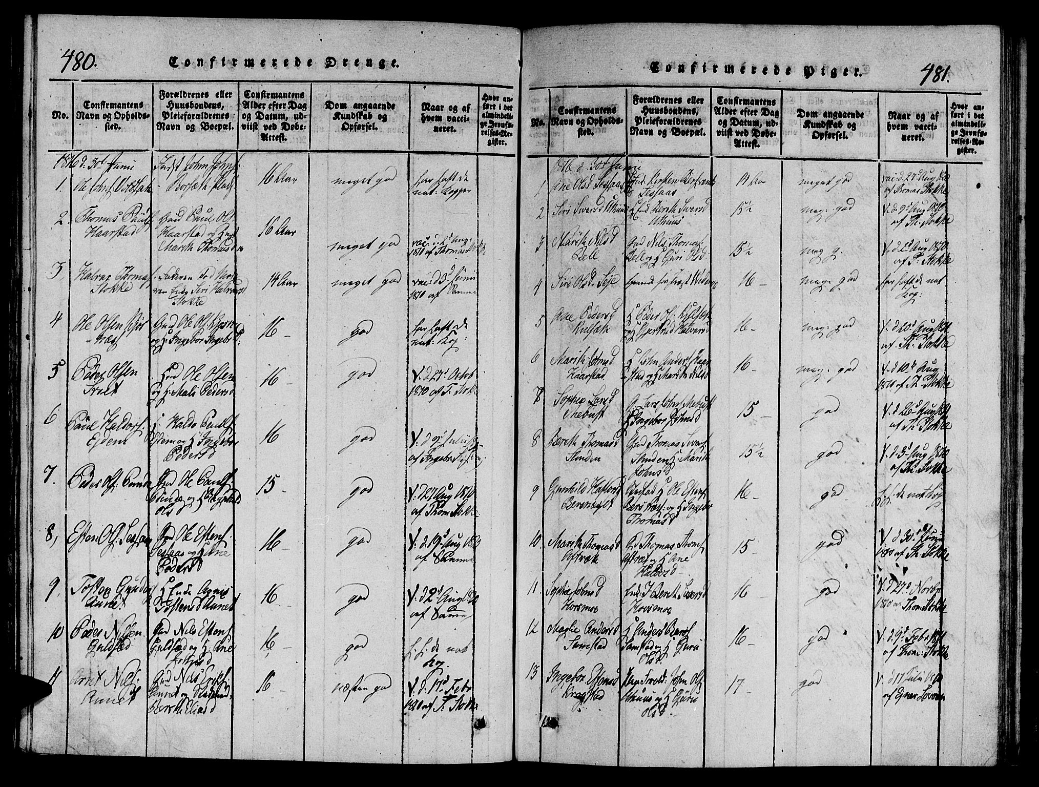 Ministerialprotokoller, klokkerbøker og fødselsregistre - Sør-Trøndelag, SAT/A-1456/695/L1141: Parish register (official) no. 695A04 /1, 1816-1824, p. 480-481