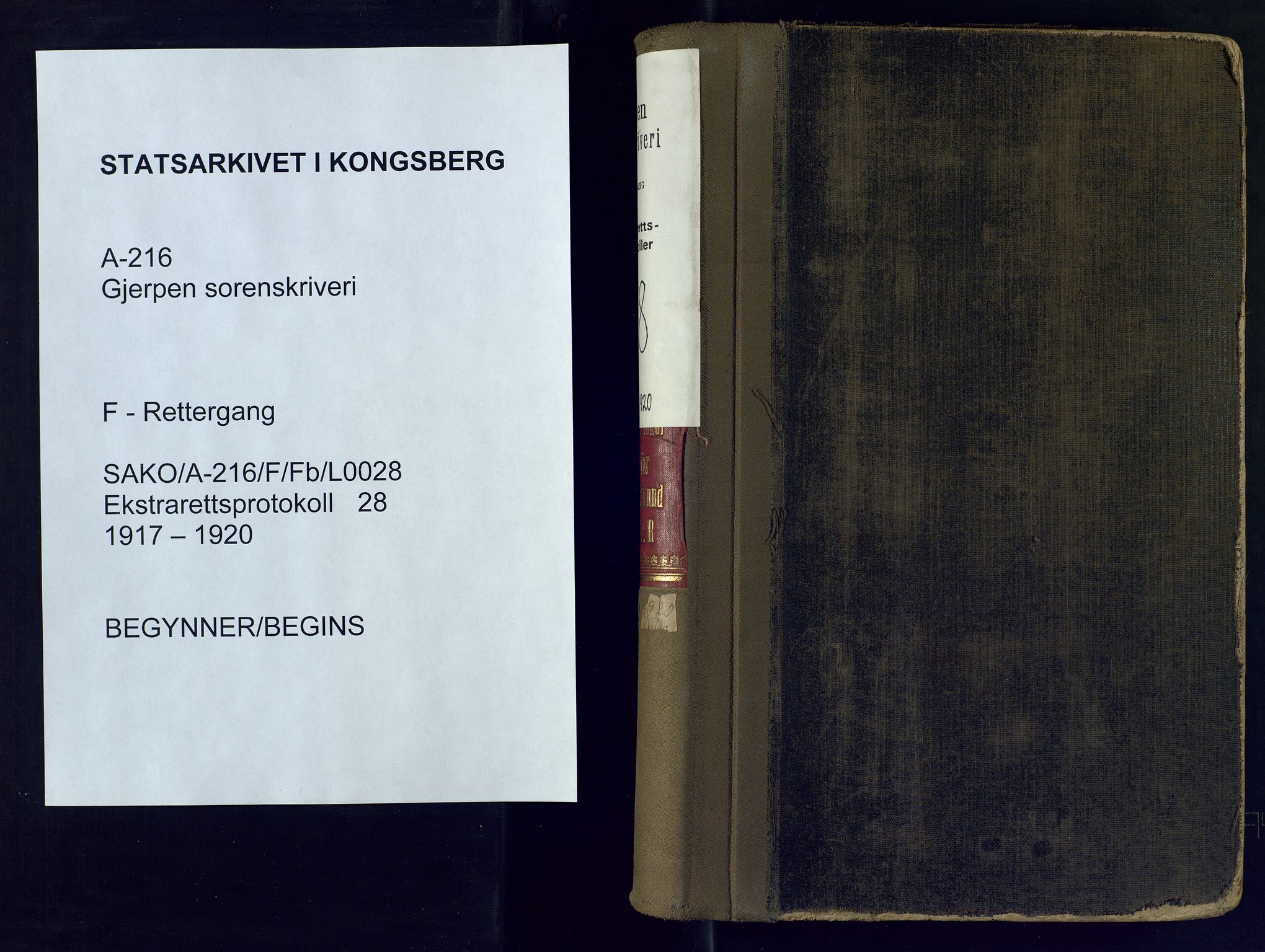 Gjerpen sorenskriveri, AV/SAKO-A-216/F/Fb/L0028: Ekstrarettsprotokoll, 1917-1920