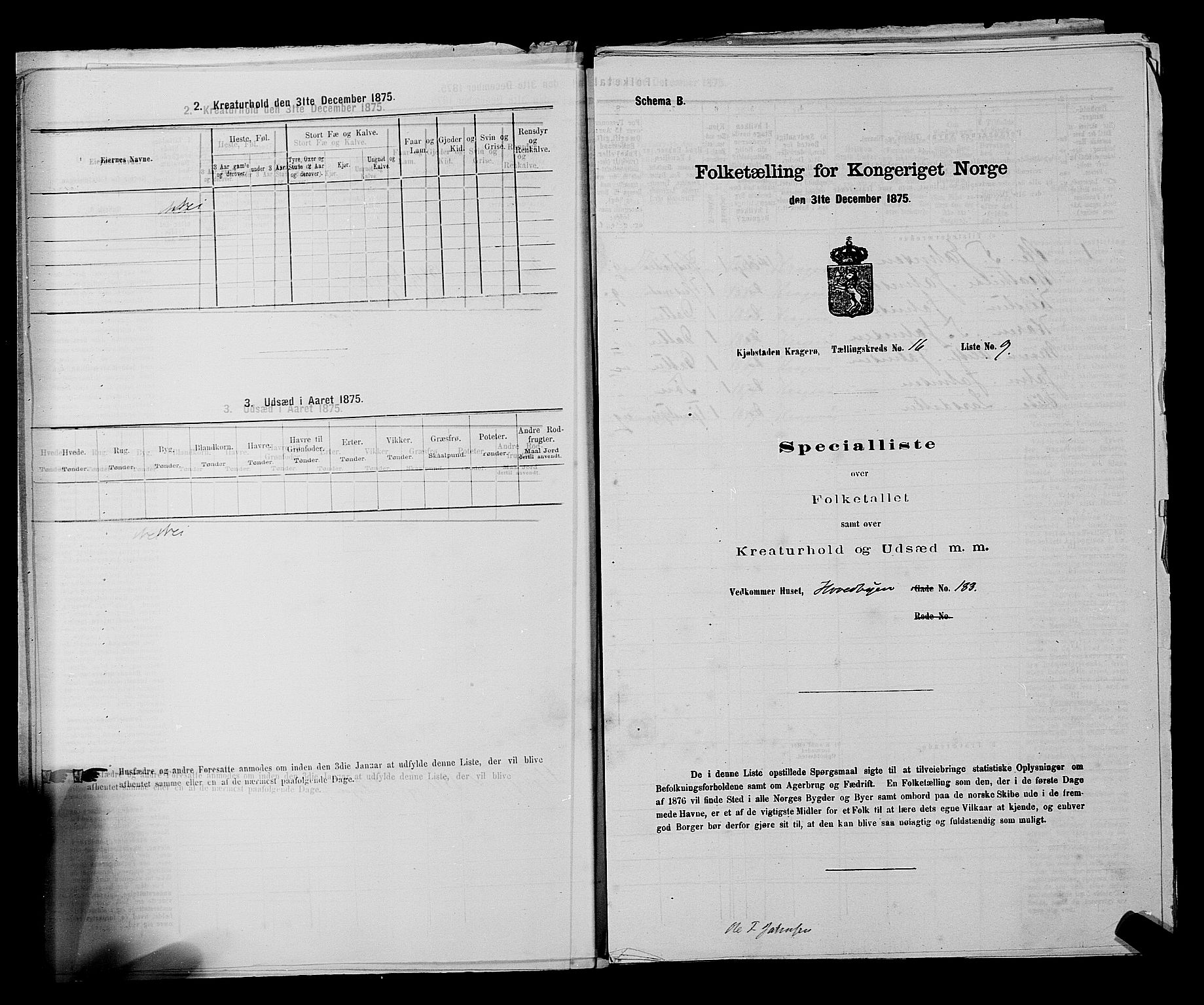 SAKO, 1875 census for 0801P Kragerø, 1875, p. 354