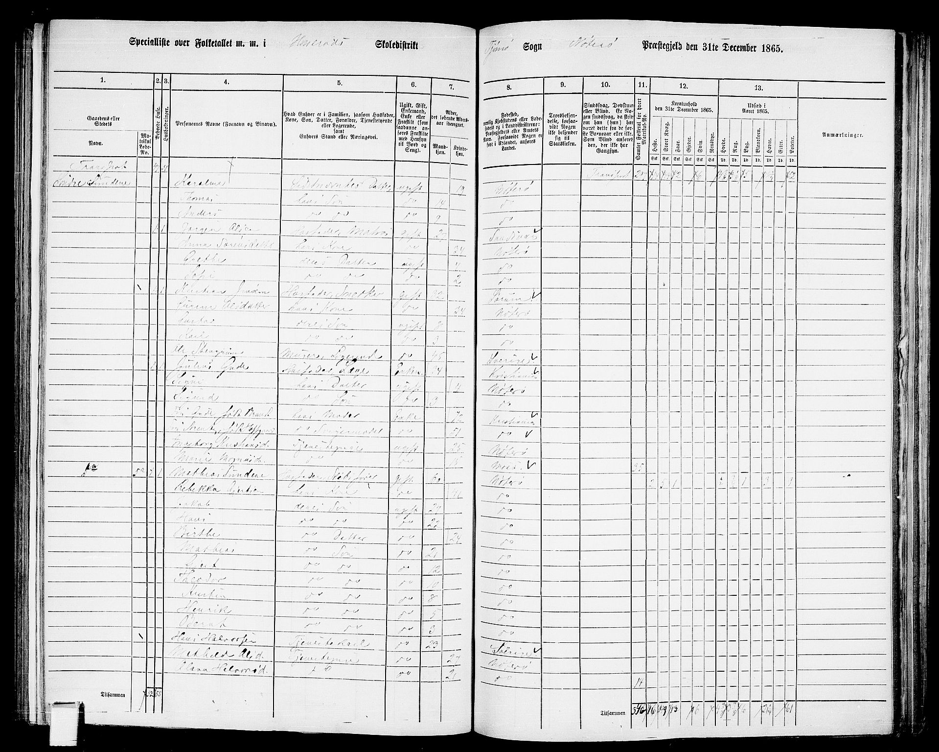 RA, 1865 census for Nøtterøy, 1865, p. 214