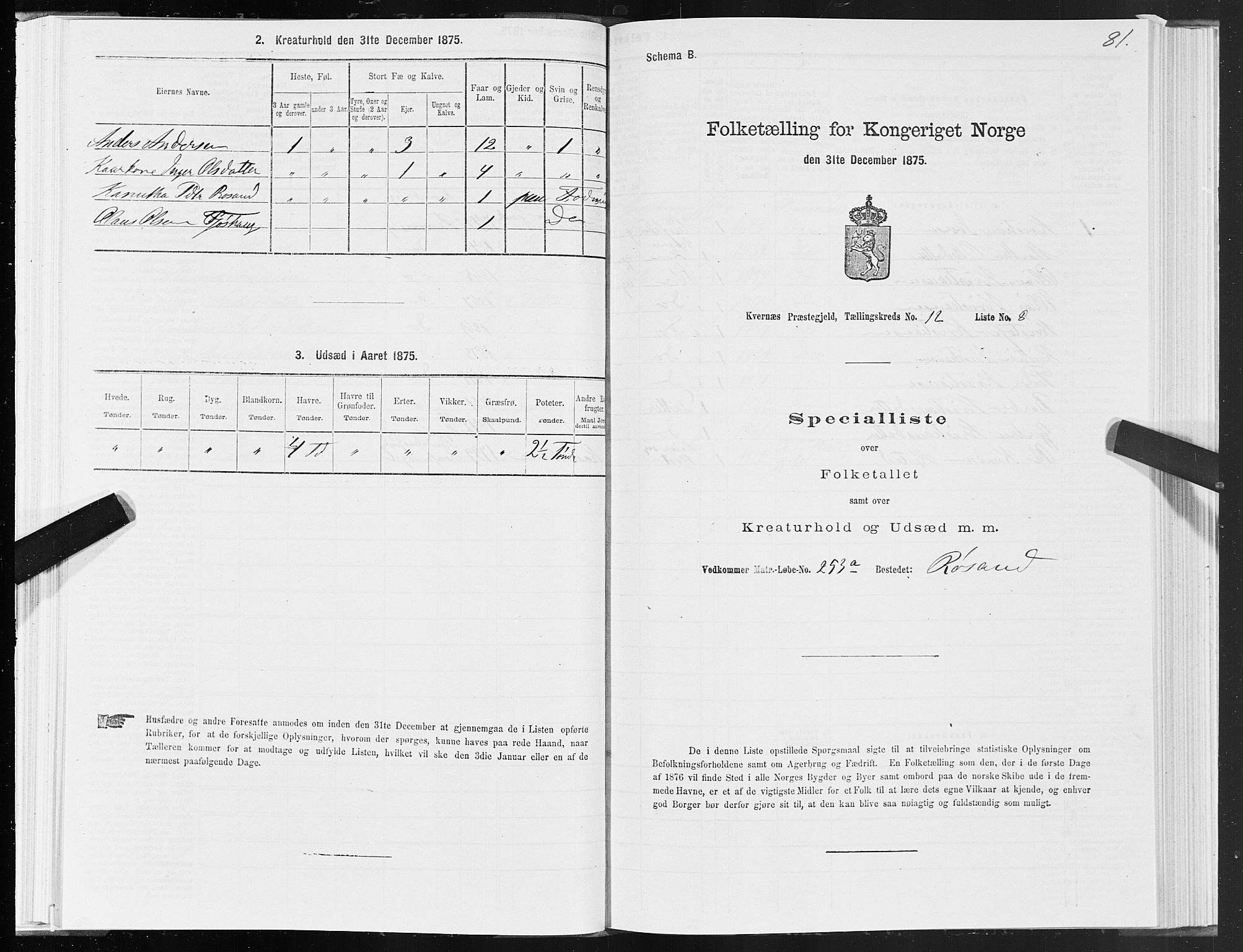 SAT, 1875 census for 1553P Kvernes, 1875, p. 6081