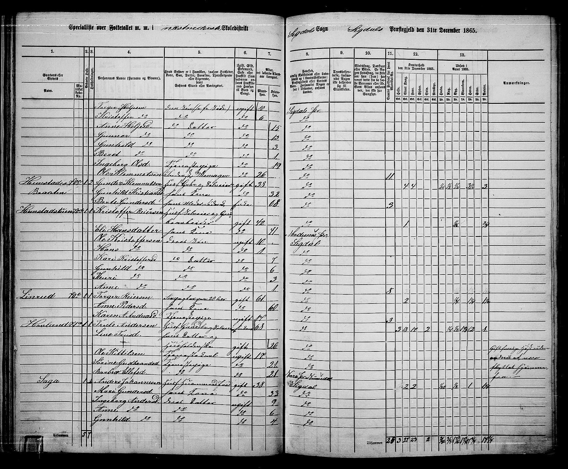 RA, 1865 census for Sigdal, 1865, p. 53