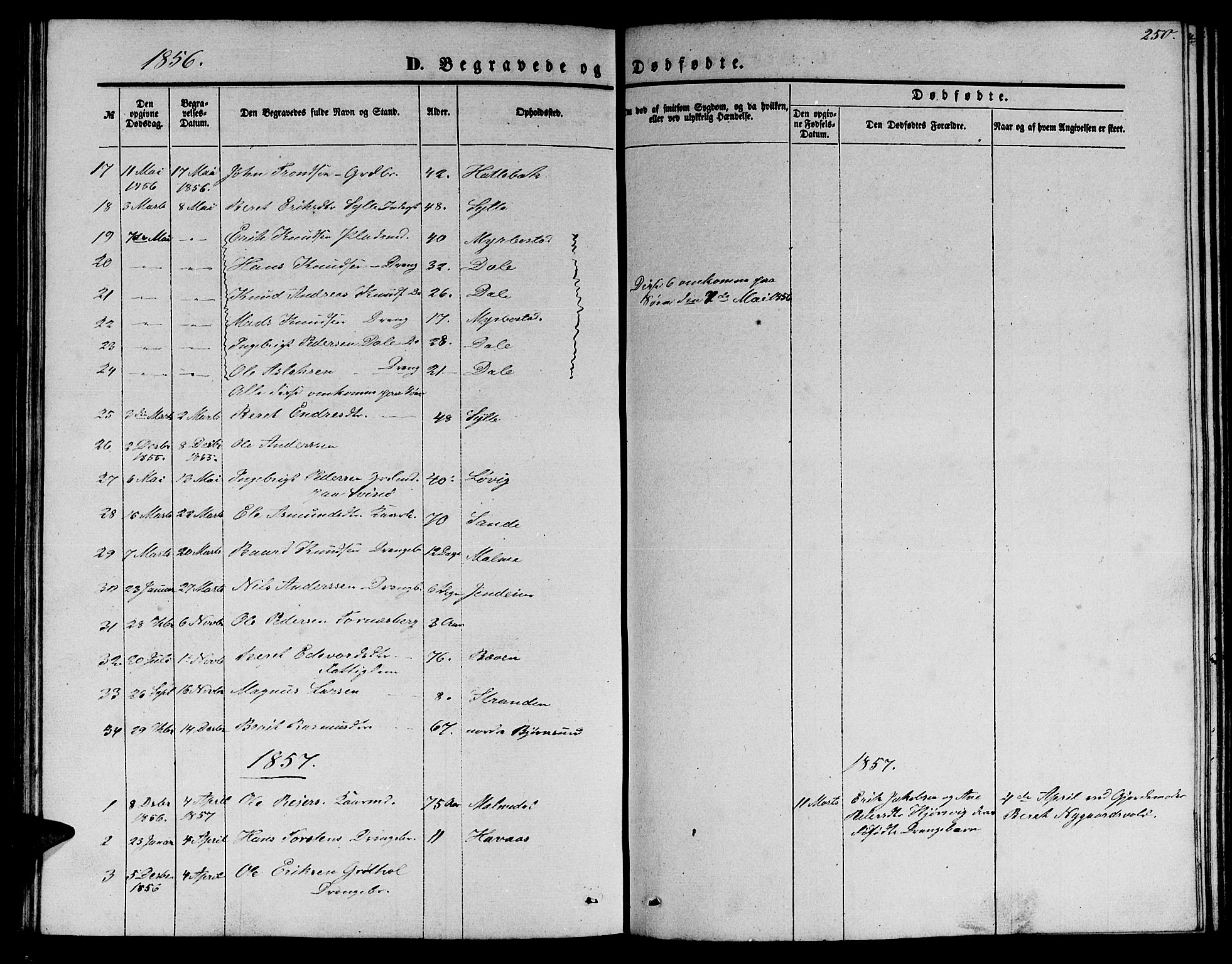 Ministerialprotokoller, klokkerbøker og fødselsregistre - Møre og Romsdal, SAT/A-1454/565/L0753: Parish register (copy) no. 565C02, 1845-1870, p. 250