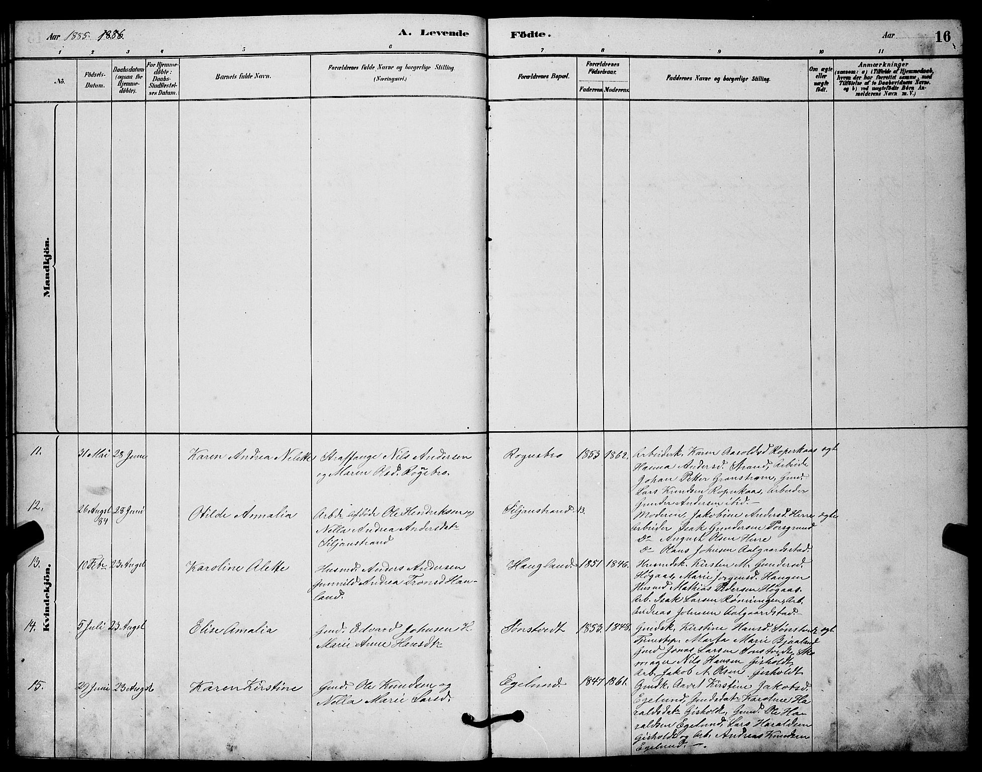 Solum kirkebøker, SAKO/A-306/G/Gc/L0001: Parish register (copy) no. III 1, 1880-1902, p. 16