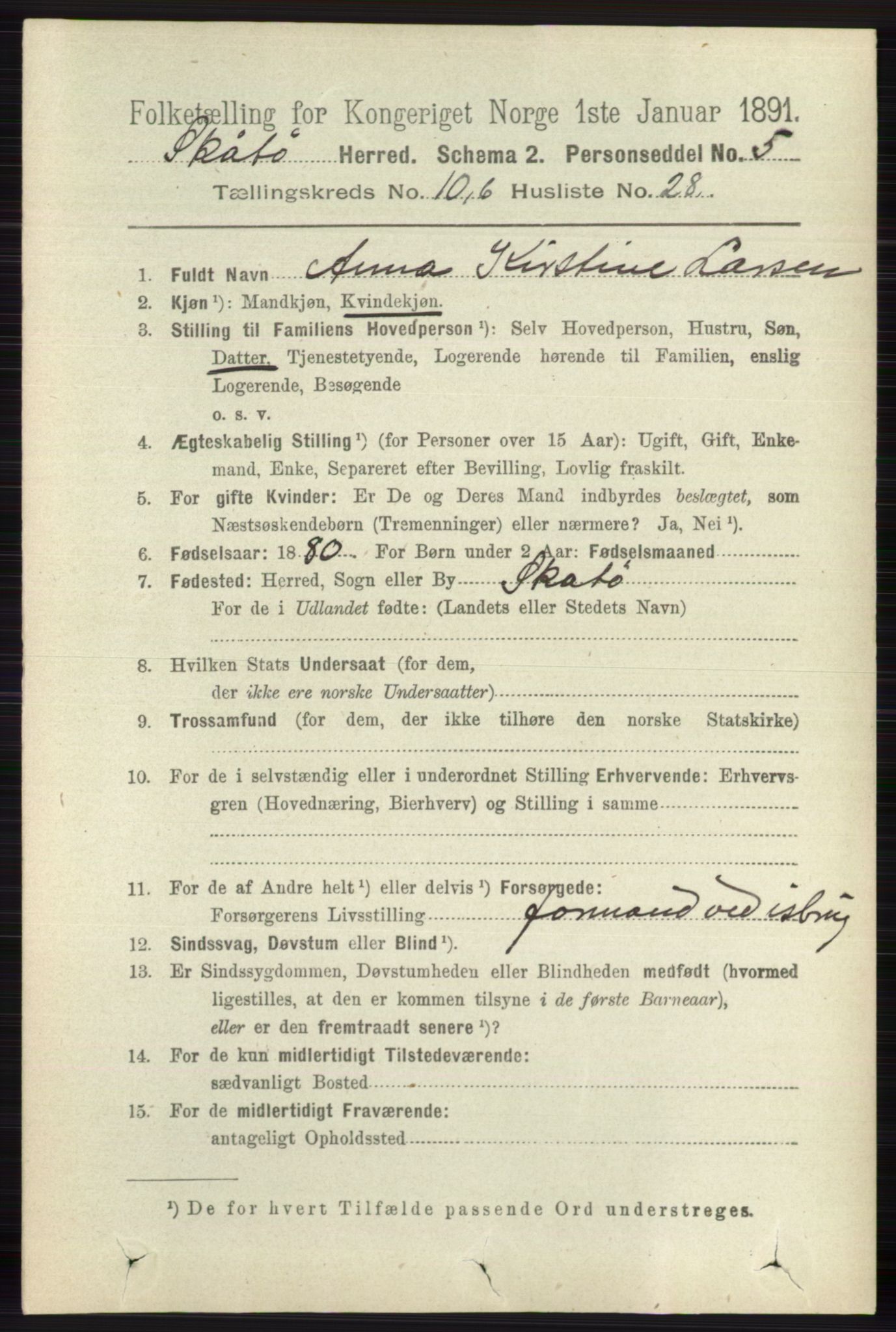 RA, 1891 census for 0815 Skåtøy, 1891, p. 4211