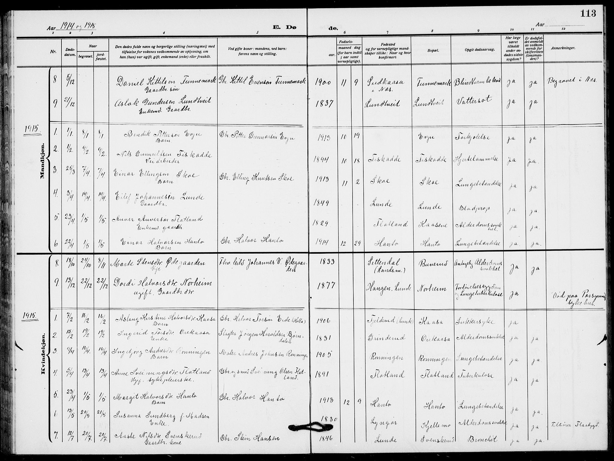 Lunde kirkebøker, SAKO/A-282/F/Fa/L0005: Parish register (official) no. I 5, 1914-1922, p. 113
