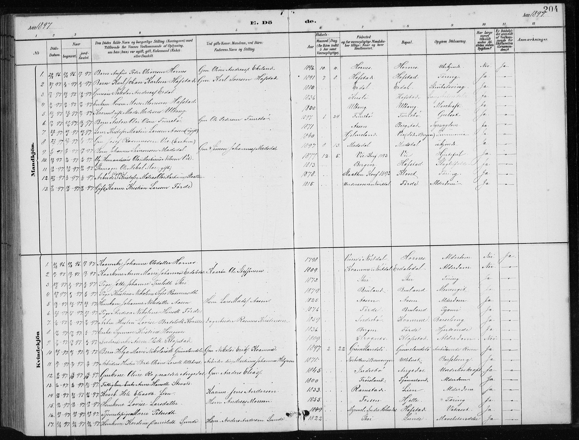 Førde sokneprestembete, AV/SAB-A-79901/H/Hab/Haba/L0002: Parish register (copy) no. A 2, 1881-1898, p. 204