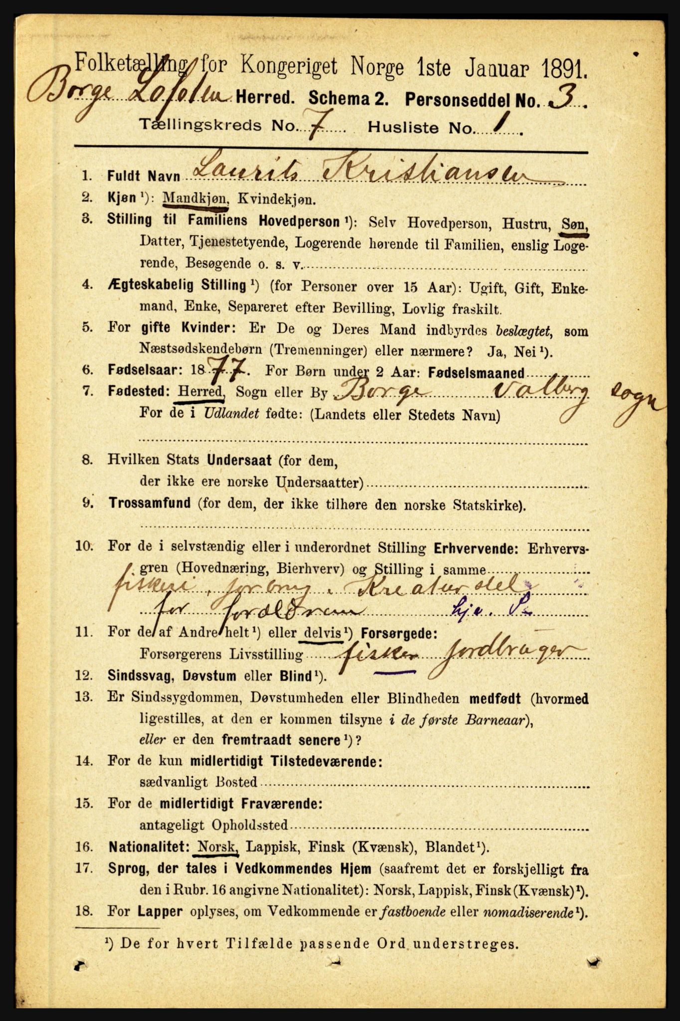 RA, 1891 census for 1862 Borge, 1891, p. 4419