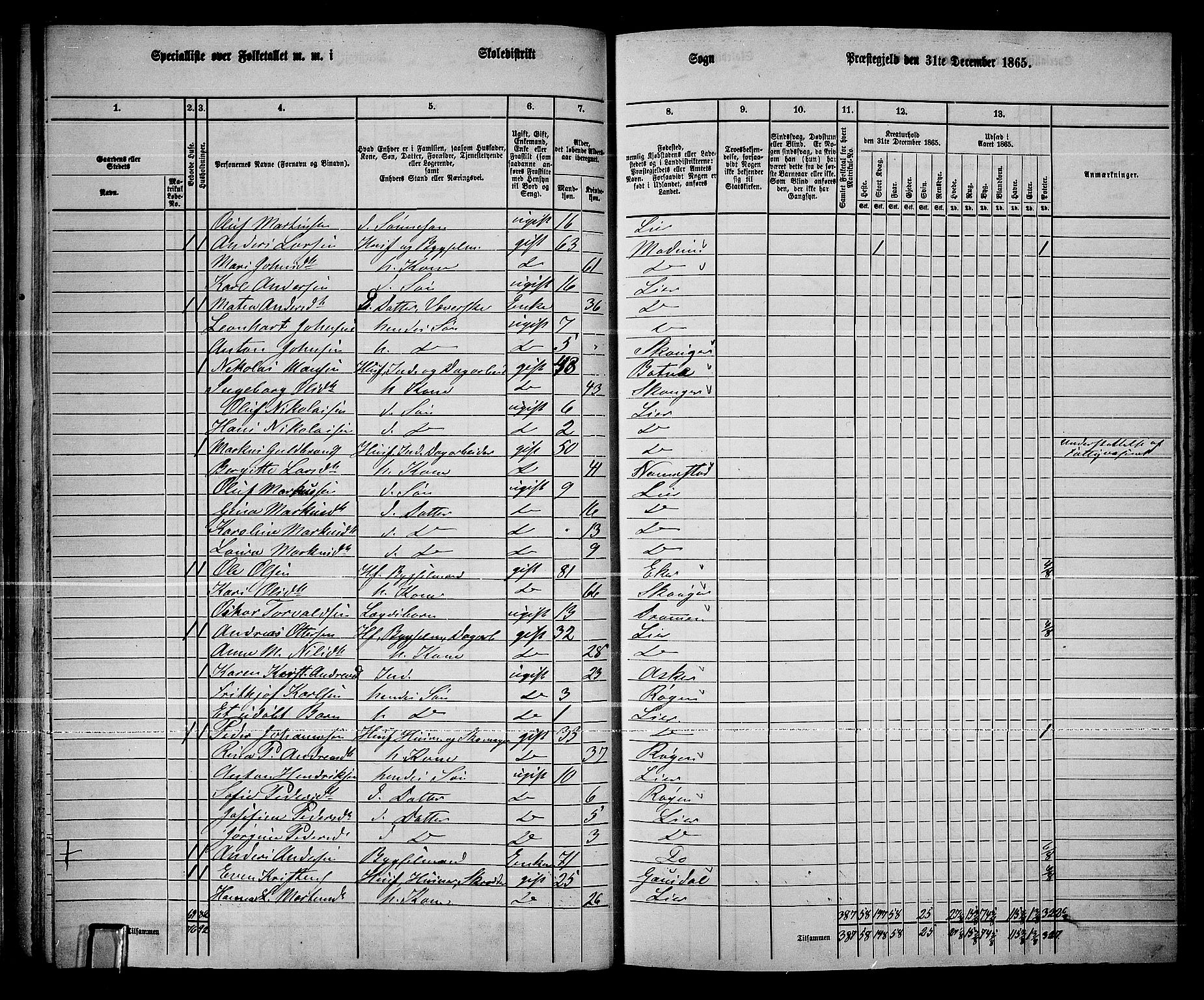 RA, 1865 census for Lier, 1865, p. 55