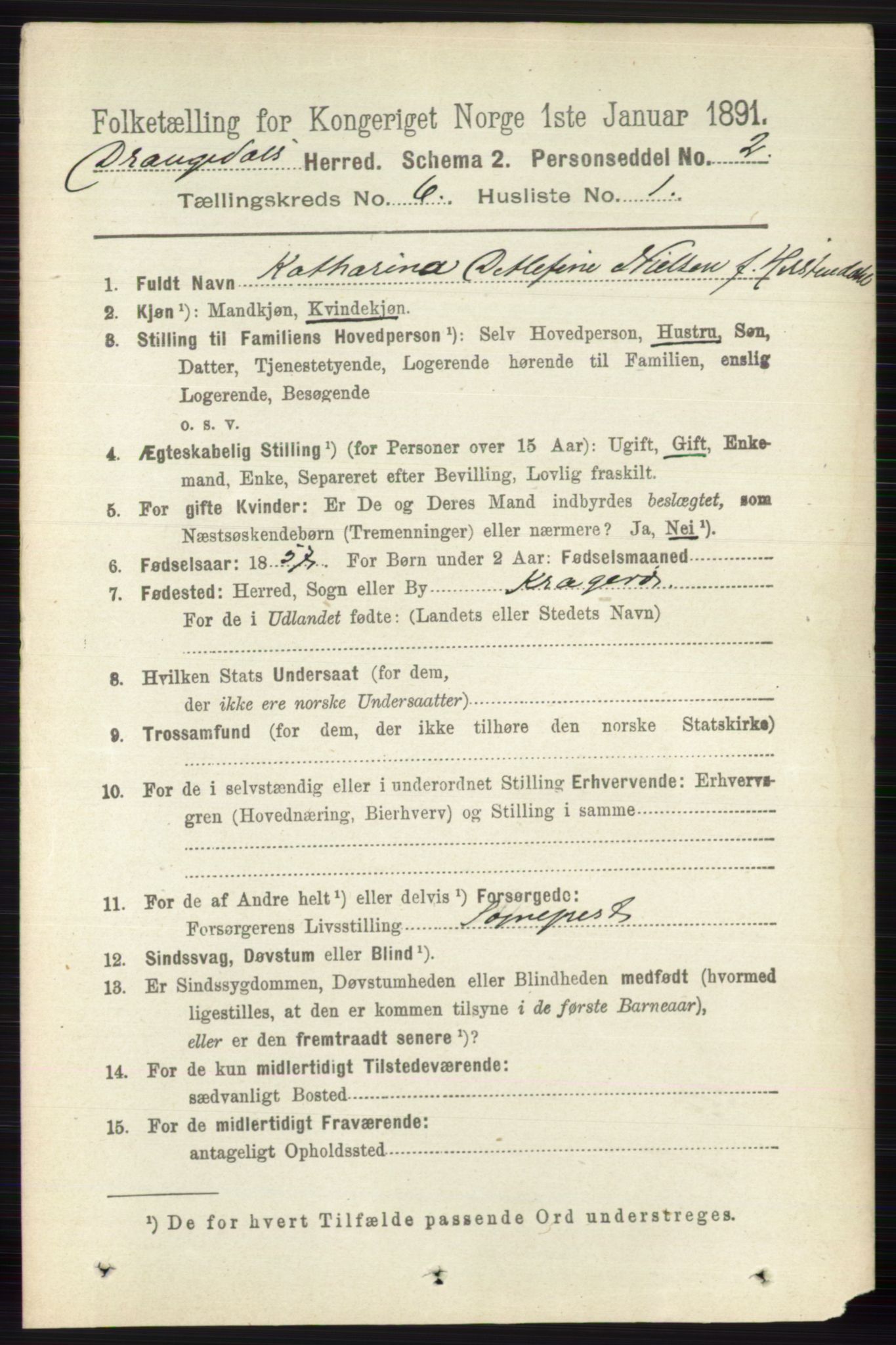 RA, 1891 census for 0817 Drangedal, 1891, p. 1977