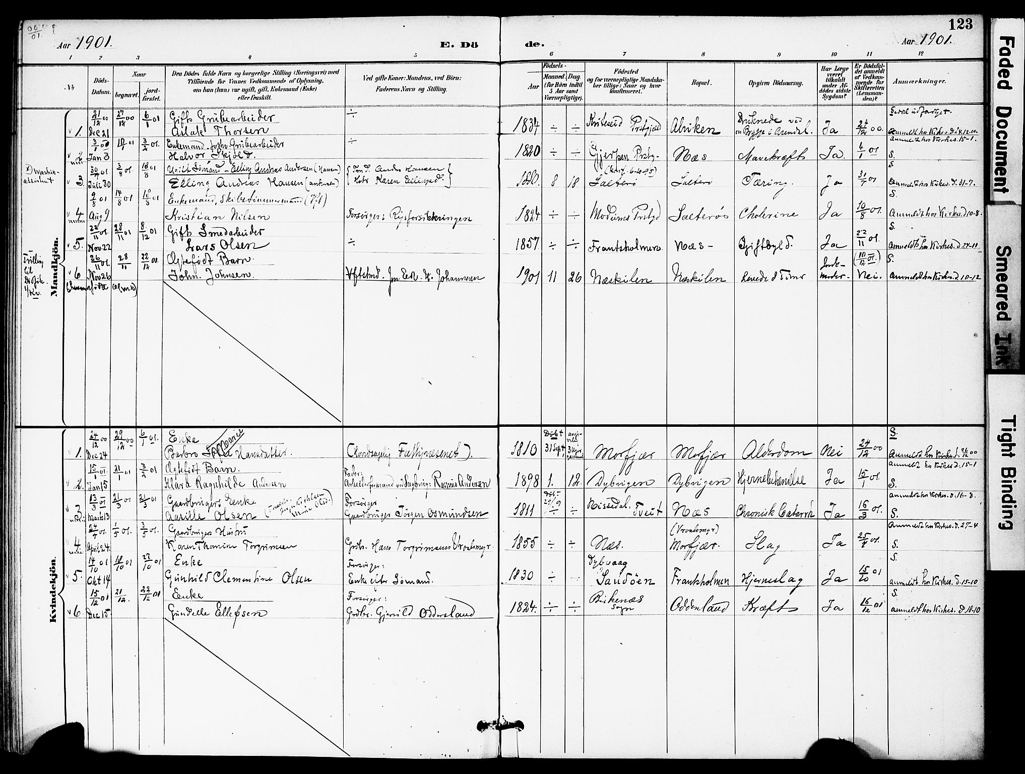 Austre Moland sokneprestkontor, AV/SAK-1111-0001/F/Fa/Fab/L0002: Parish register (official) no. A 2, 1894-1919, p. 123