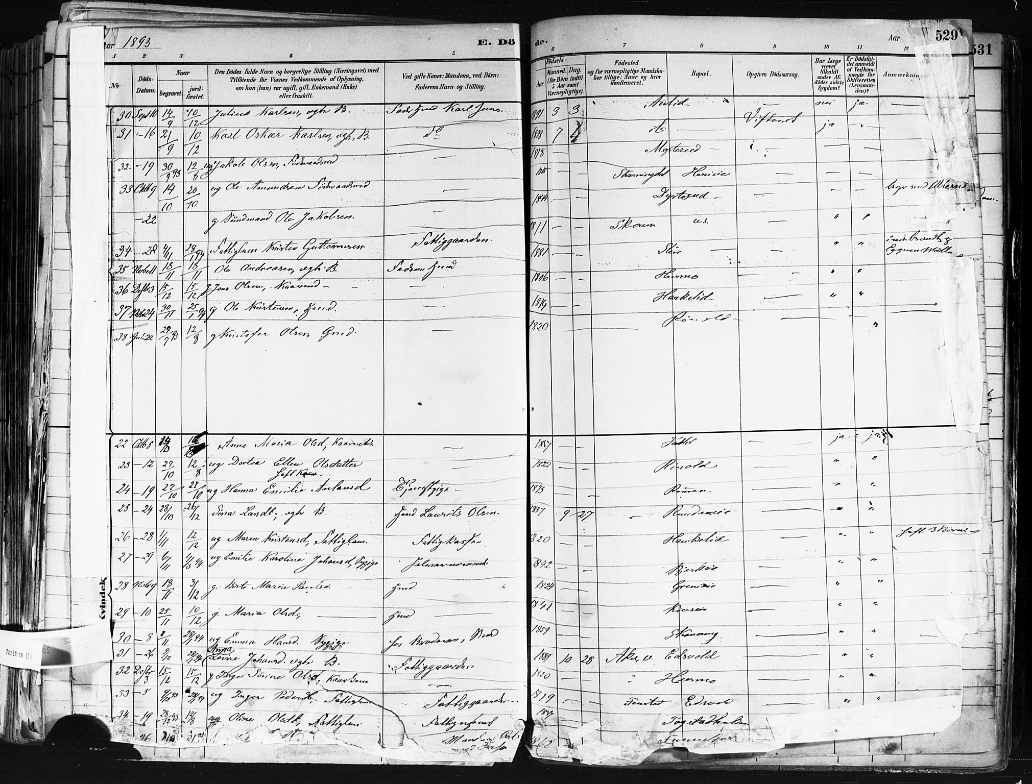 Nes prestekontor Kirkebøker, AV/SAO-A-10410/F/Fa/L0010: Parish register (official) no. I 10, 1883-1898, p. 529