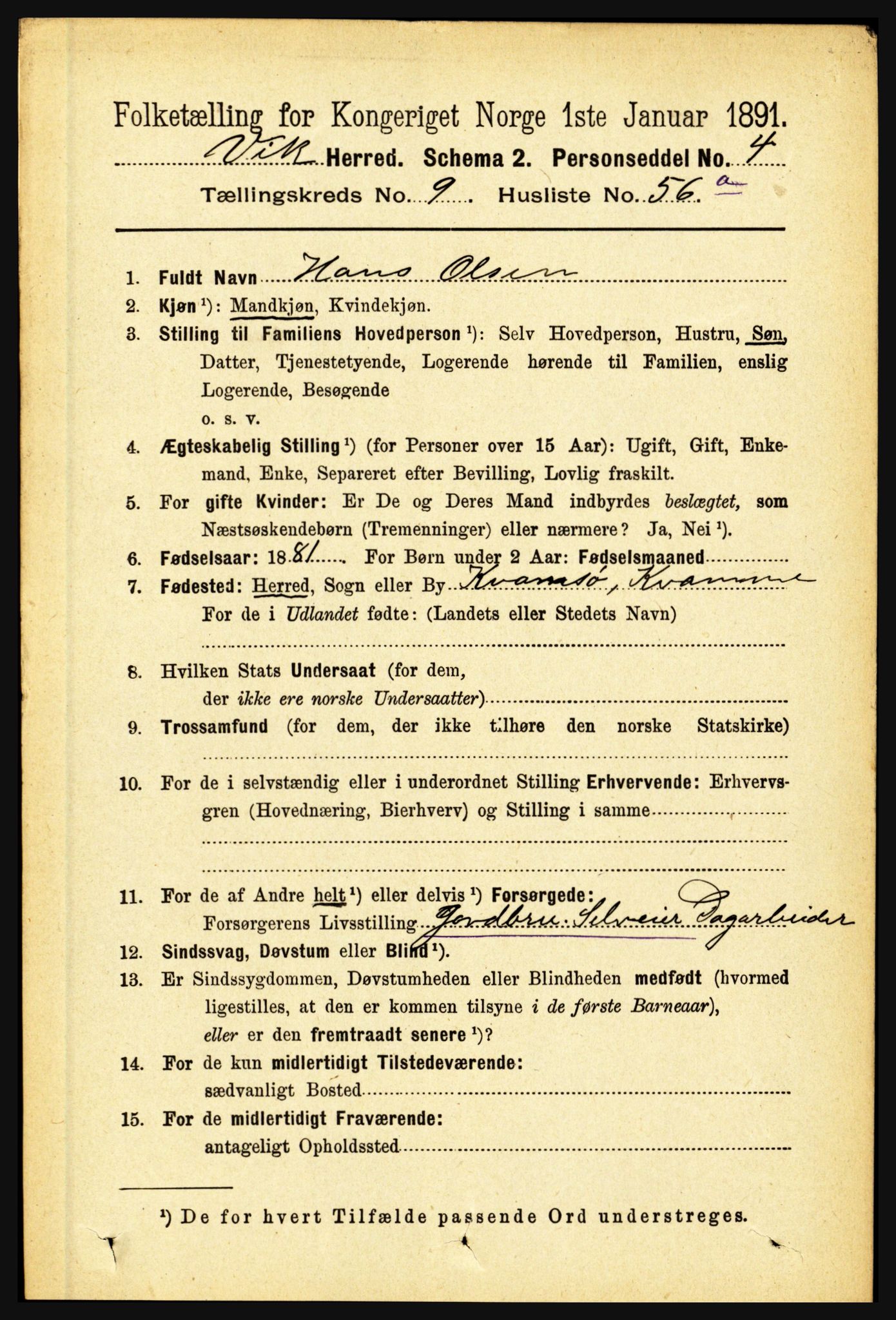 RA, 1891 census for 1417 Vik, 1891, p. 4315