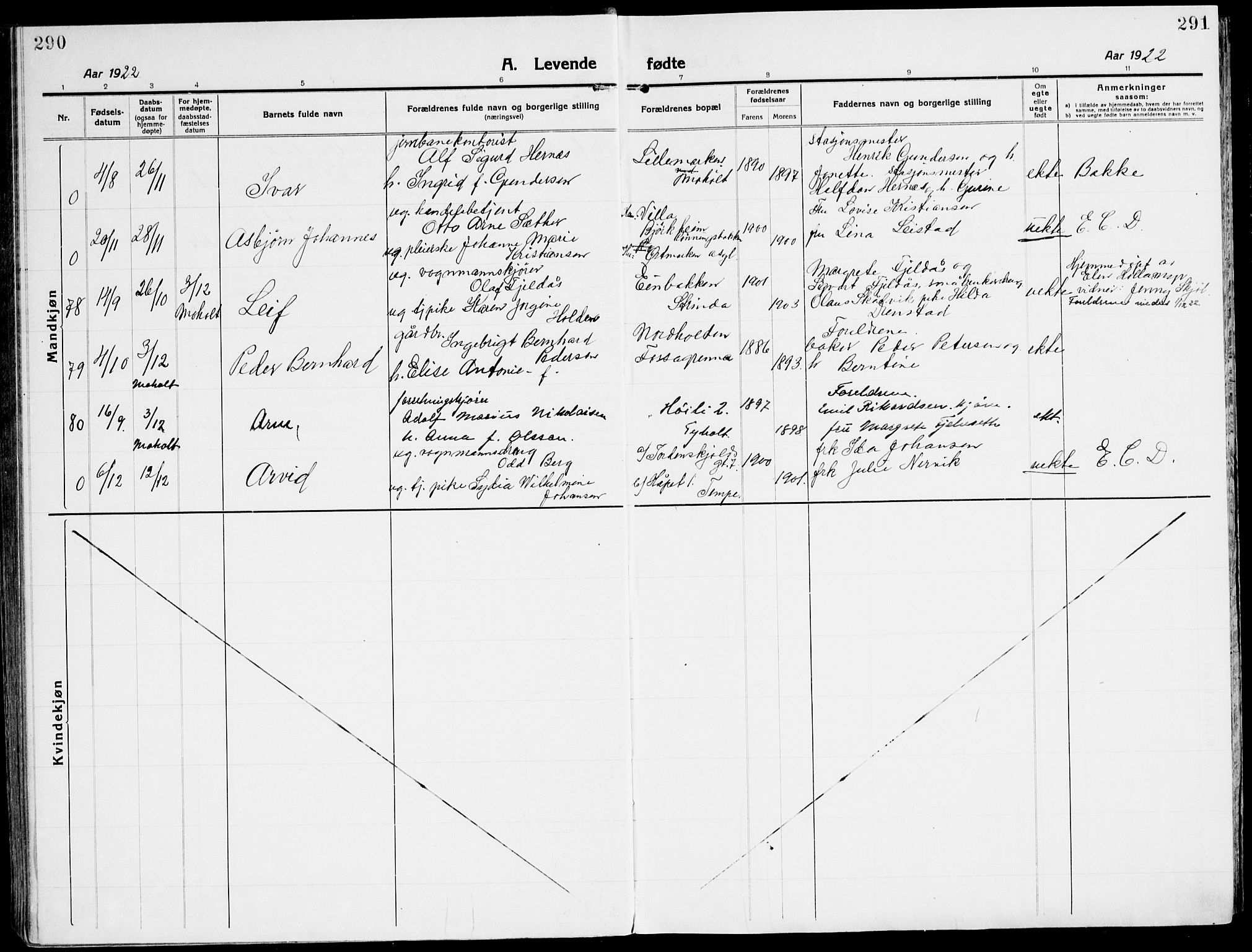 Ministerialprotokoller, klokkerbøker og fødselsregistre - Sør-Trøndelag, AV/SAT-A-1456/607/L0321: Parish register (official) no. 607A05, 1916-1935, p. 290-291