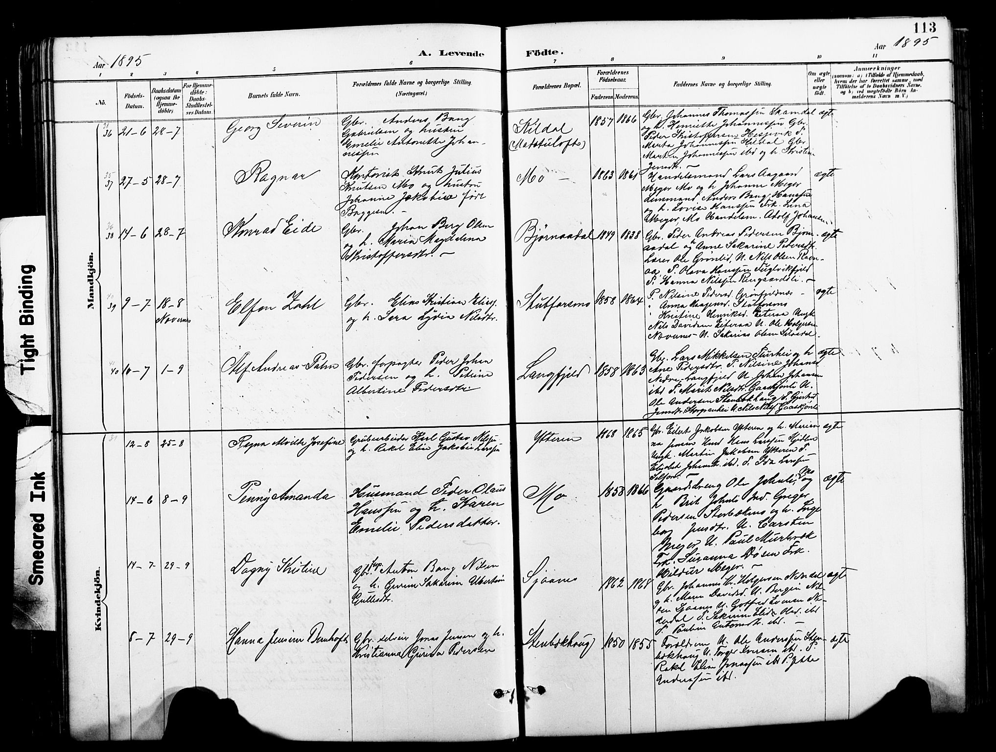 Ministerialprotokoller, klokkerbøker og fødselsregistre - Nordland, AV/SAT-A-1459/827/L0421: Parish register (copy) no. 827C10, 1887-1906, p. 113