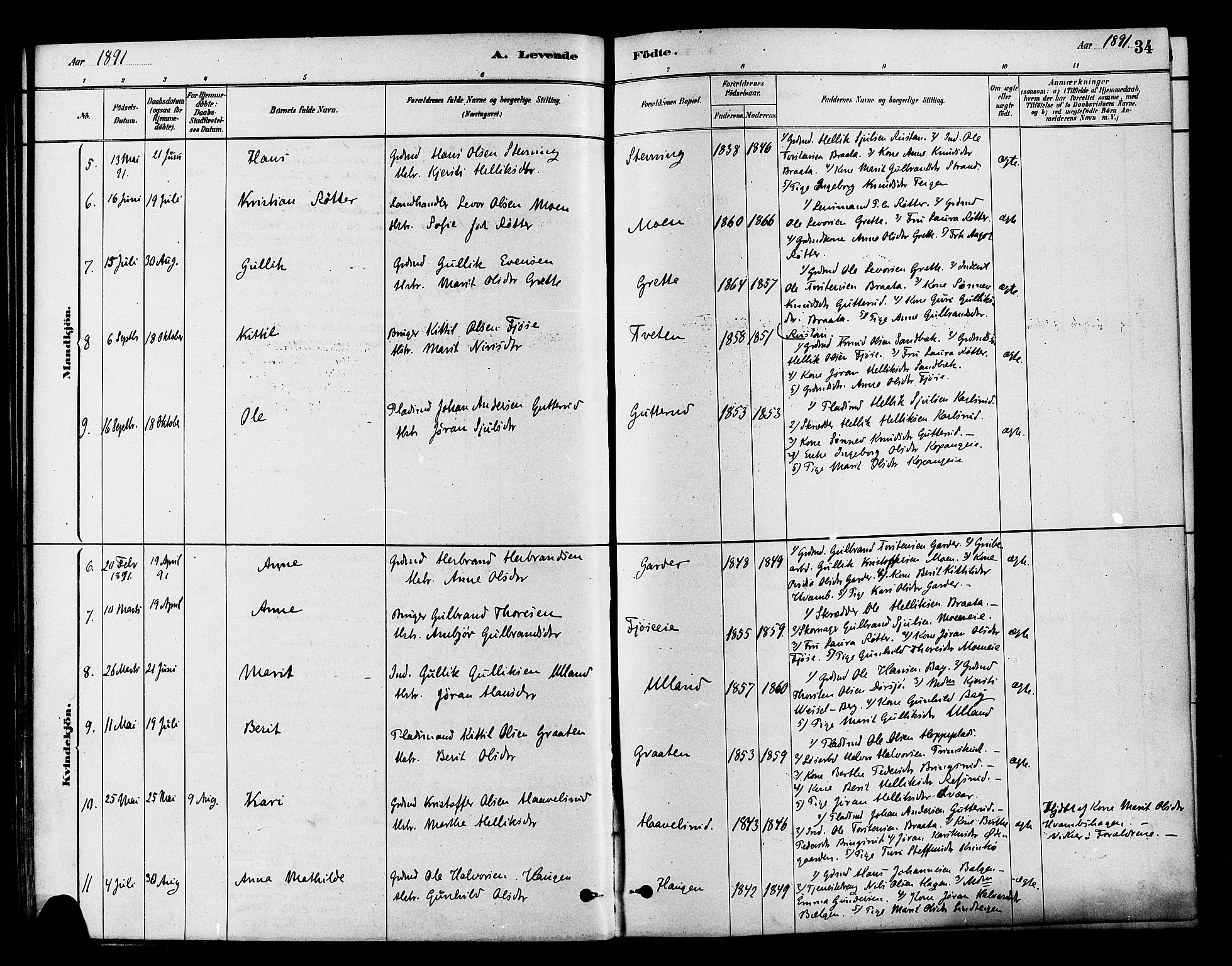 Flesberg kirkebøker, AV/SAKO-A-18/F/Fb/L0001: Parish register (official) no. II 1, 1879-1907, p. 34