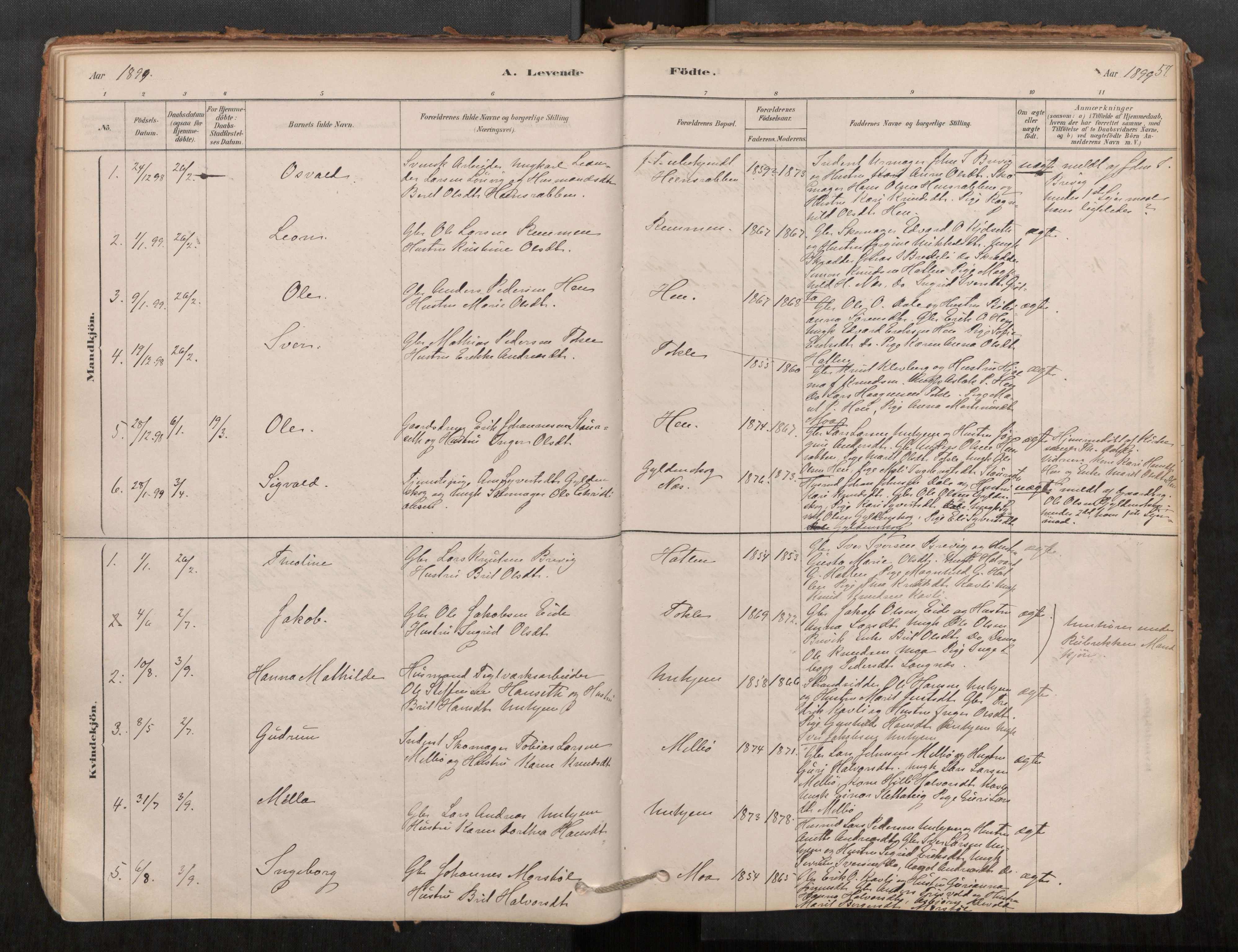 Ministerialprotokoller, klokkerbøker og fødselsregistre - Møre og Romsdal, SAT/A-1454/545/L0594: Parish register (official) no. 545A03, 1878-1920, p. 57