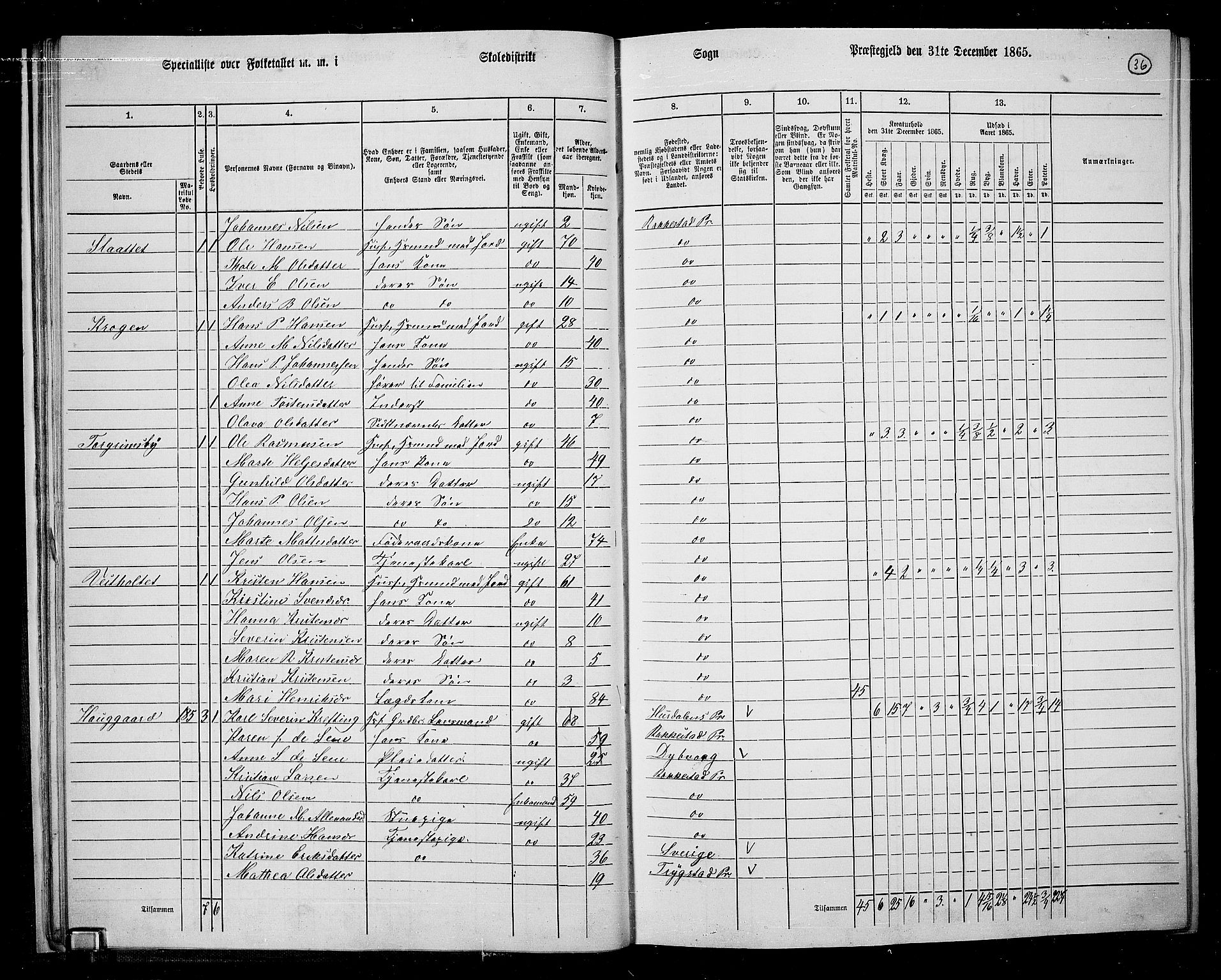 RA, 1865 census for Rakkestad, 1865, p. 37