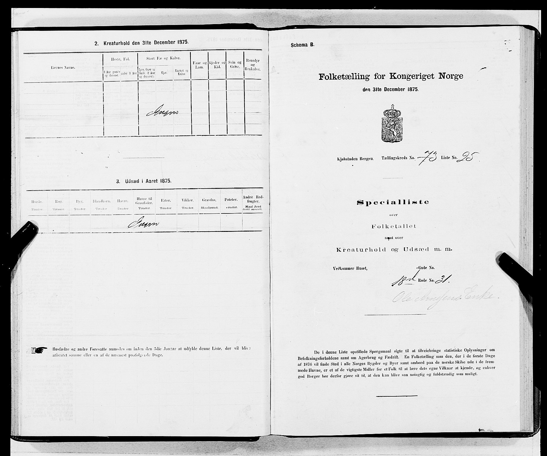 SAB, 1875 census for 1301 Bergen, 1875, p. 3951