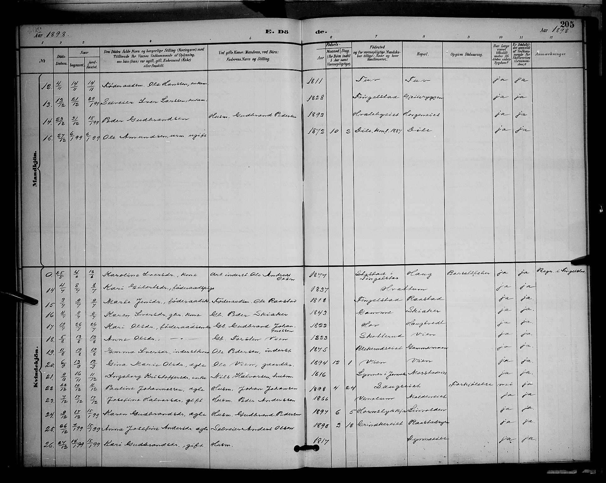 Gran prestekontor, AV/SAH-PREST-112/H/Ha/Hab/L0005: Parish register (copy) no. 5, 1892-1900, p. 205