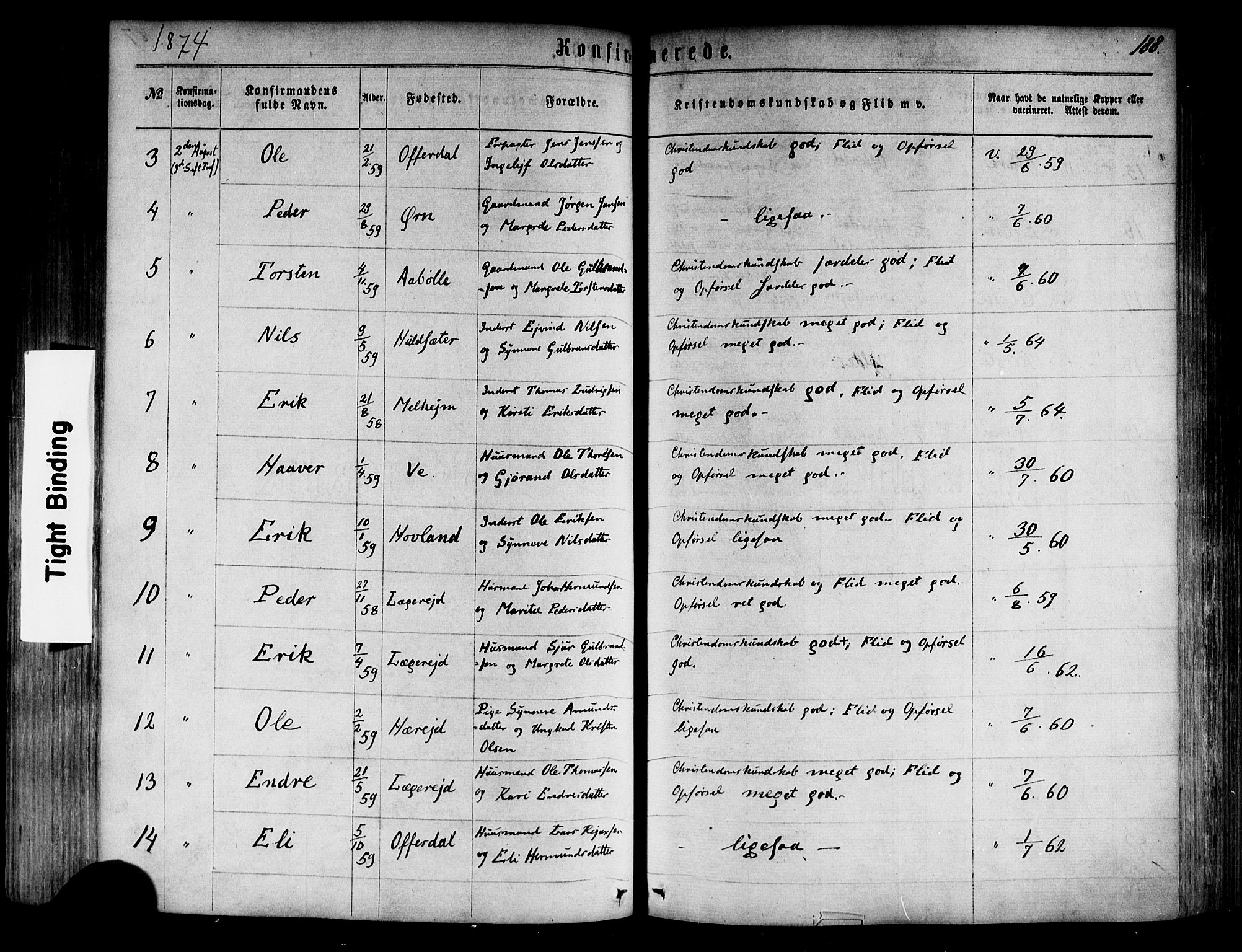 Årdal sokneprestembete, SAB/A-81701: Parish register (official) no. A 3, 1863-1886, p. 188