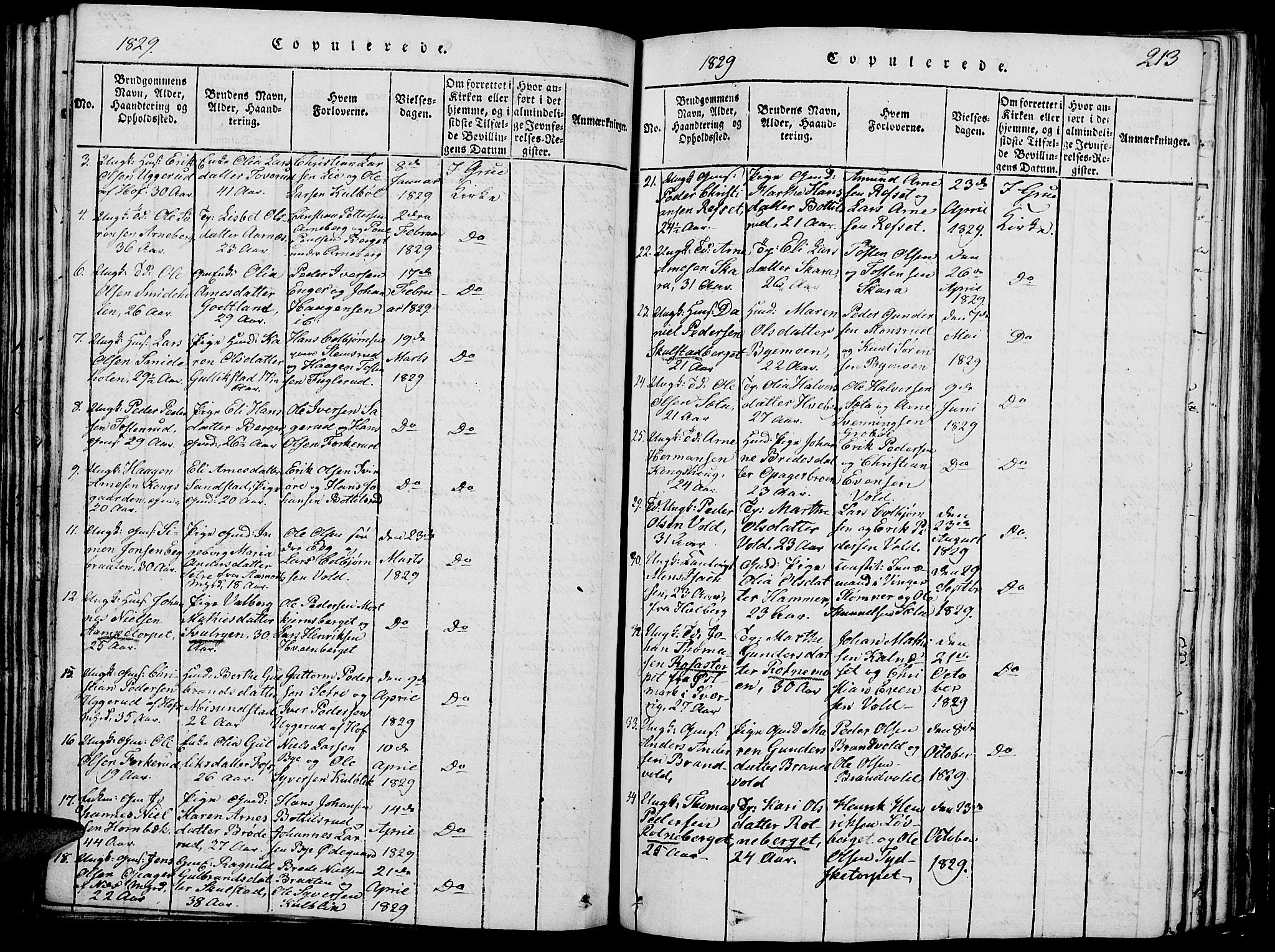 Grue prestekontor, SAH/PREST-036/H/Ha/Hab/L0002: Parish register (copy) no. 2, 1815-1841, p. 213