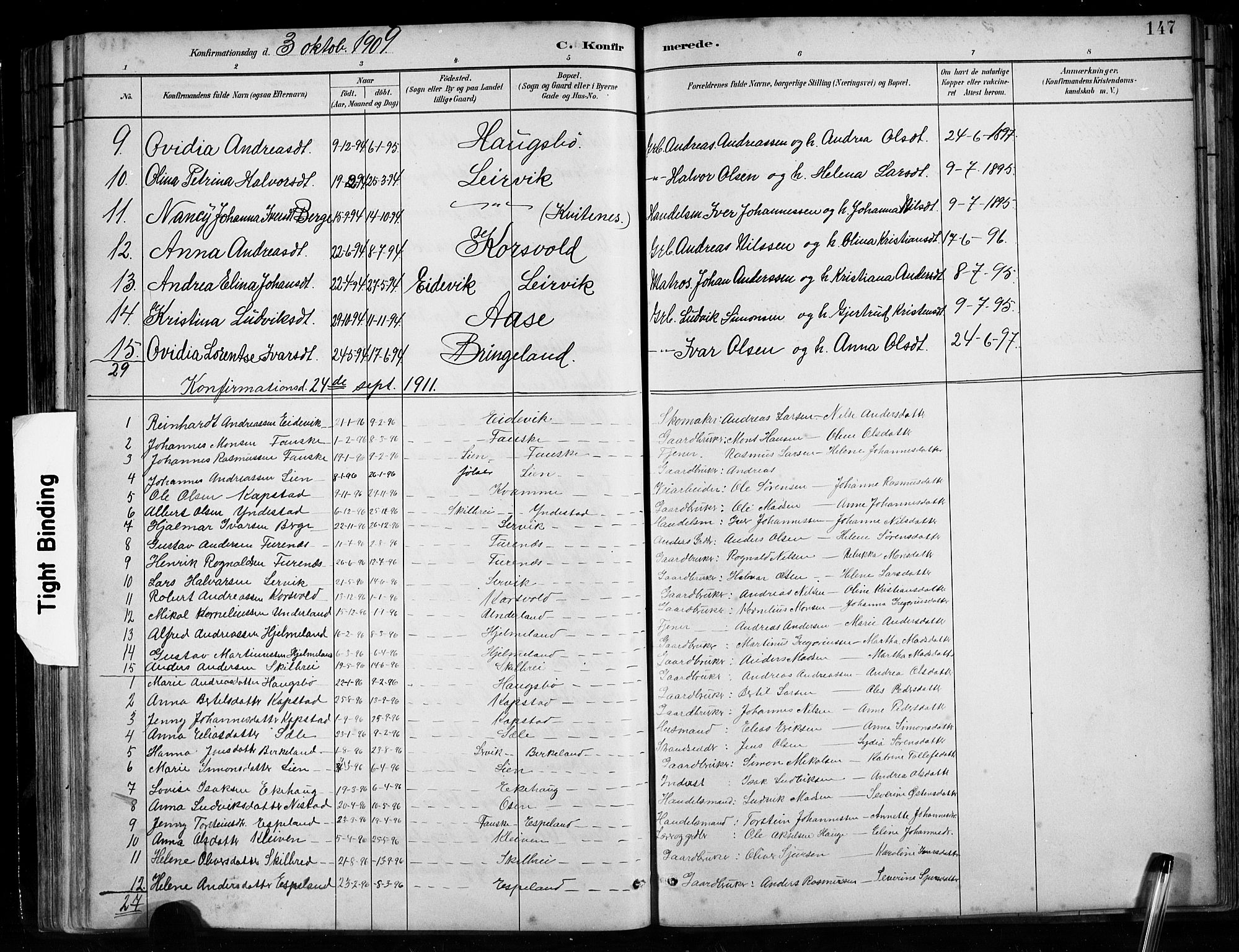 Gaular sokneprestembete, SAB/A-80001/H/Hab: Parish register (copy) no. B 3, 1882-1913, p. 147