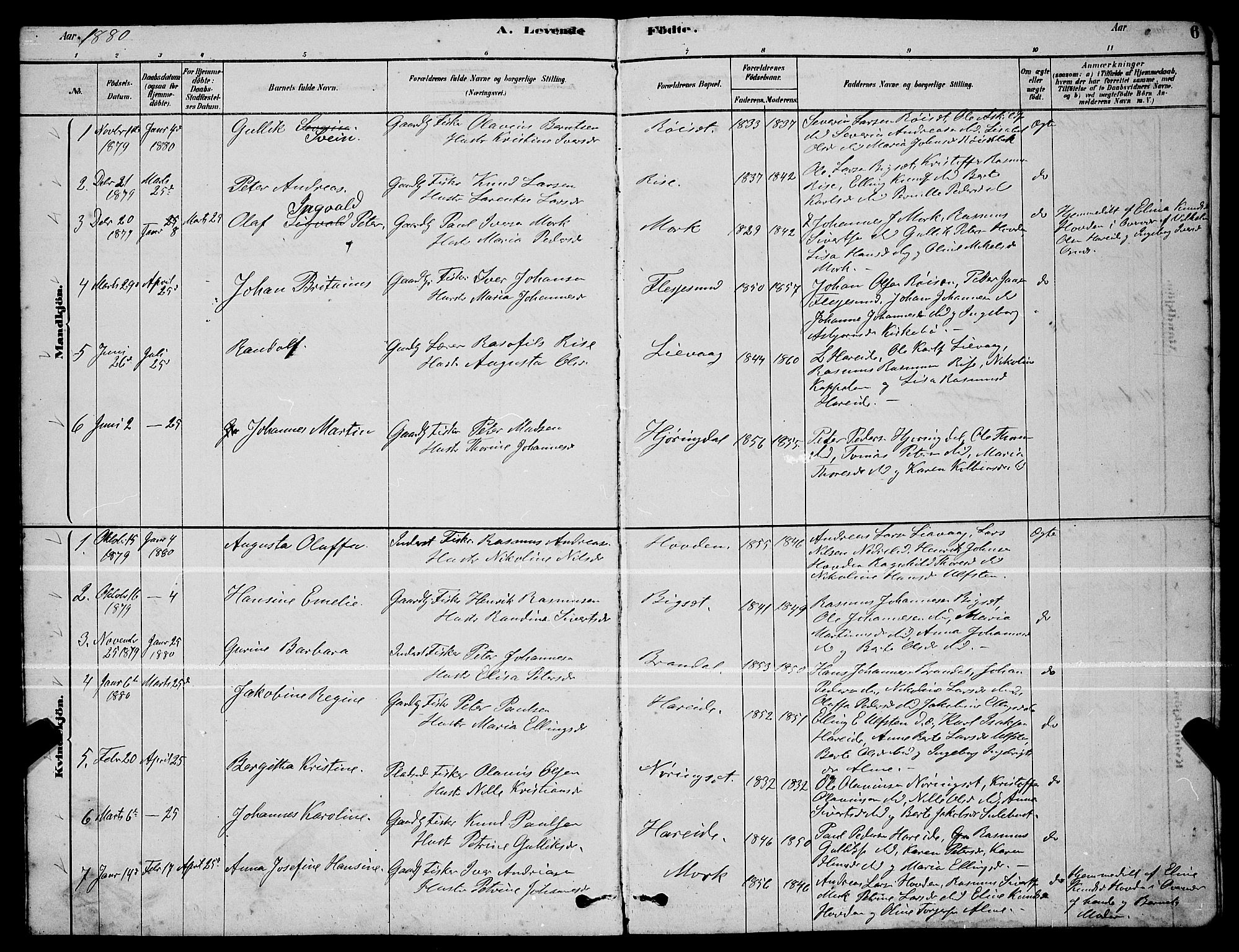 Ministerialprotokoller, klokkerbøker og fødselsregistre - Møre og Romsdal, AV/SAT-A-1454/510/L0125: Parish register (copy) no. 510C02, 1878-1900, p. 6