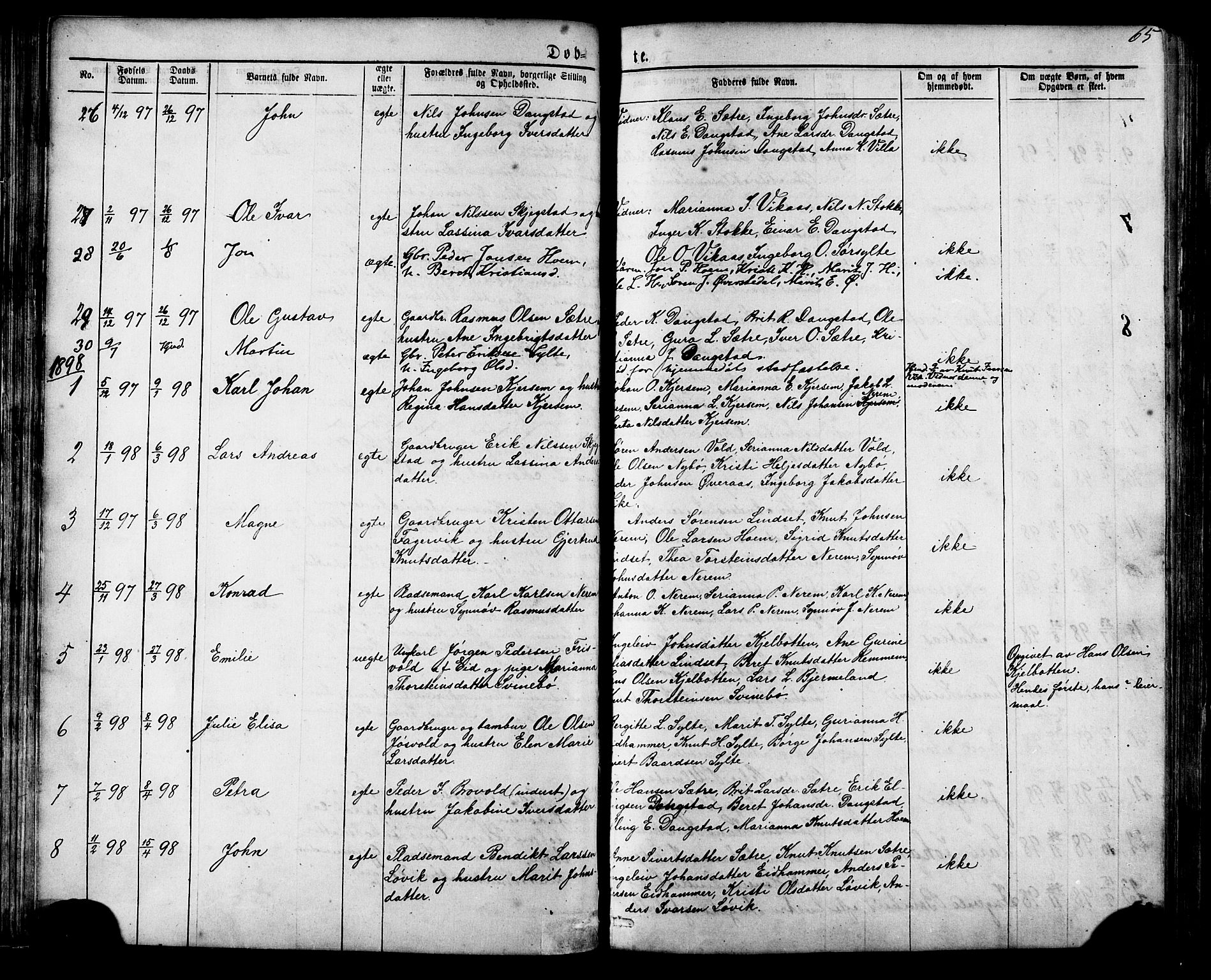 Ministerialprotokoller, klokkerbøker og fødselsregistre - Møre og Romsdal, SAT/A-1454/541/L0547: Parish register (copy) no. 541C02, 1867-1921, p. 65