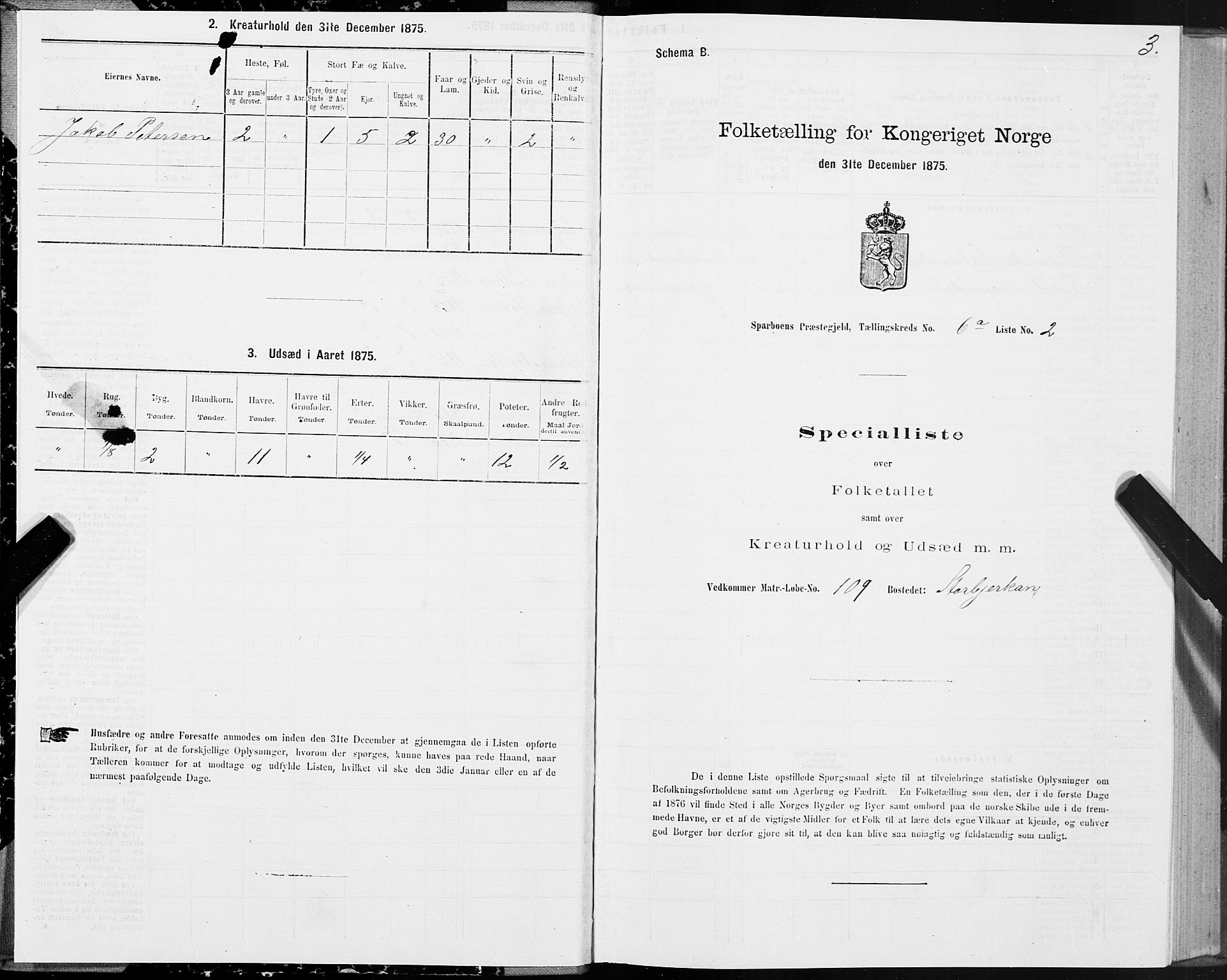 SAT, 1875 census for 1731P Sparbu, 1875, p. 3003