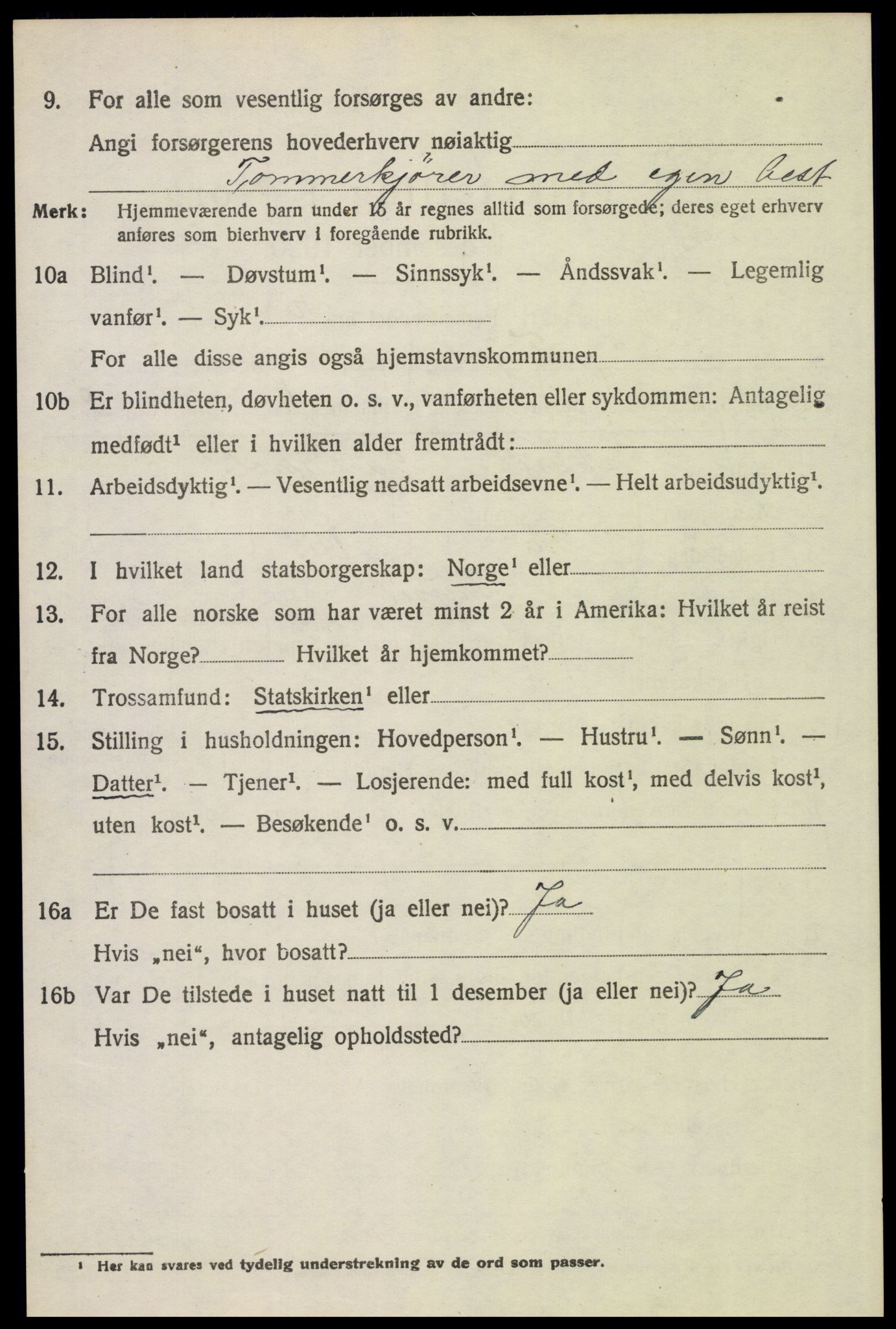 SAH, 1920 census for Trysil, 1920, p. 6662