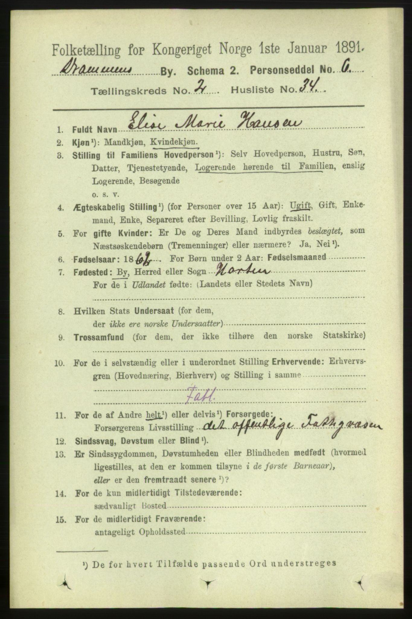 RA, 1891 census for 0602 Drammen, 1891, p. 4663