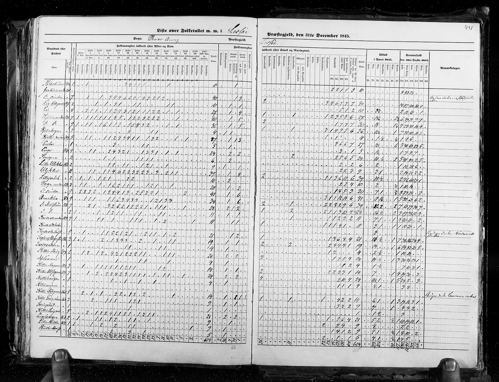 RA, Census 1845, vol. 3: Hedemarken amt og Kristians amt, 1845, p. 431