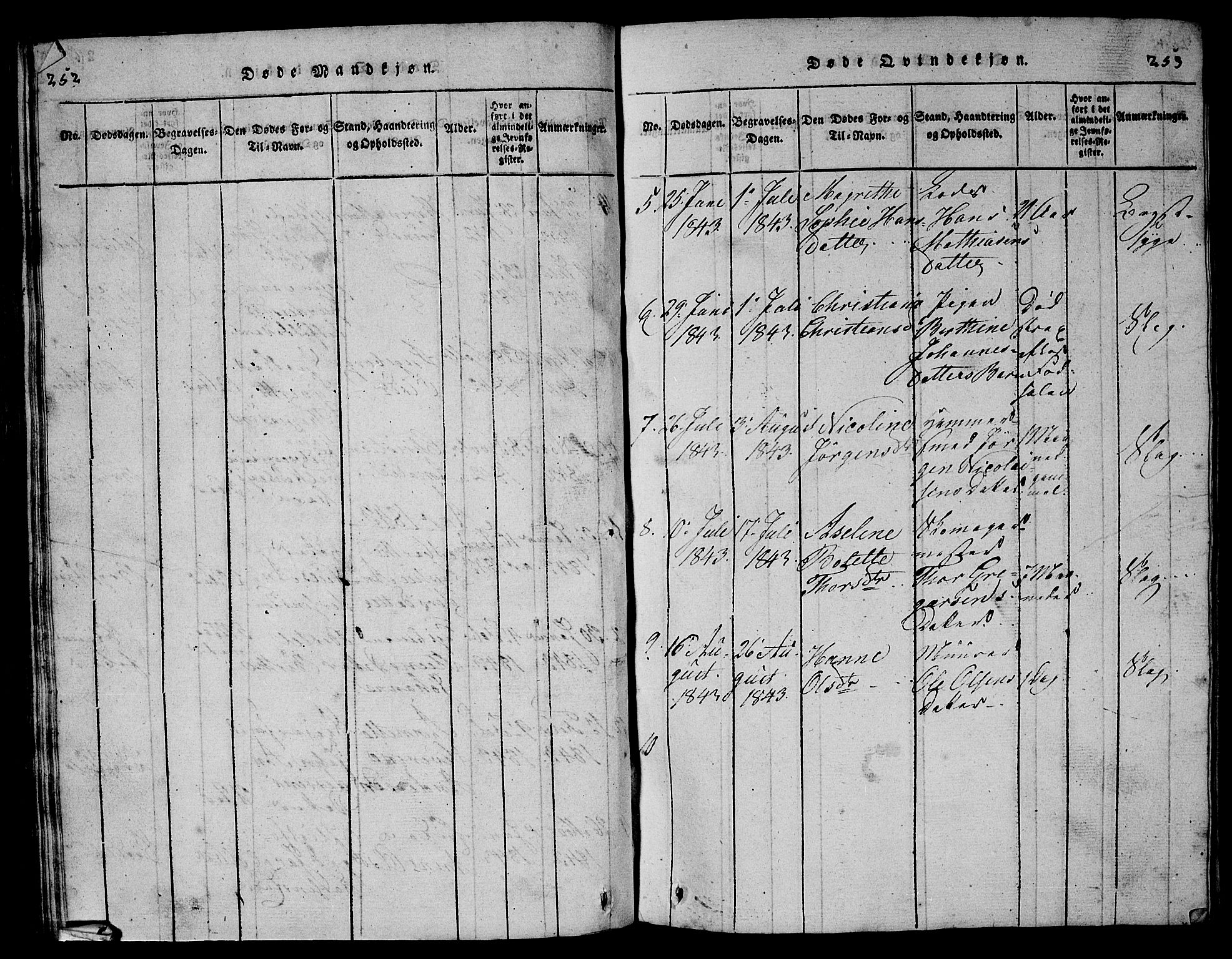 Larvik kirkebøker, AV/SAKO-A-352/G/Gb/L0001: Parish register (copy) no. II 1, 1818-1843, p. 252-253