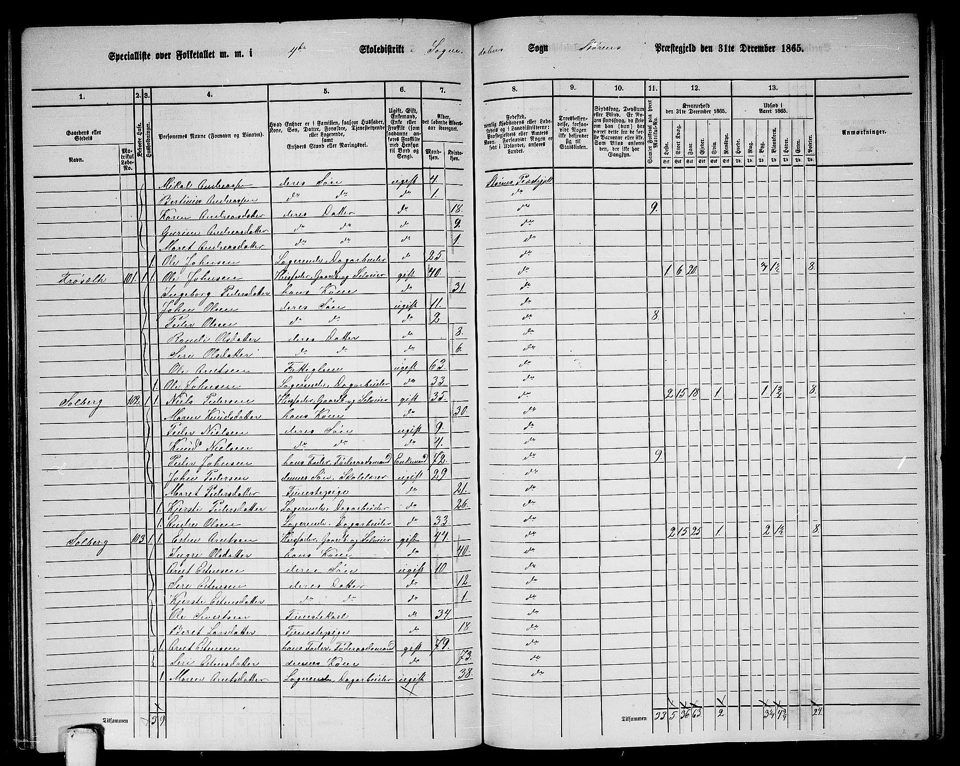 RA, 1865 census for Støren, 1865, p. 271