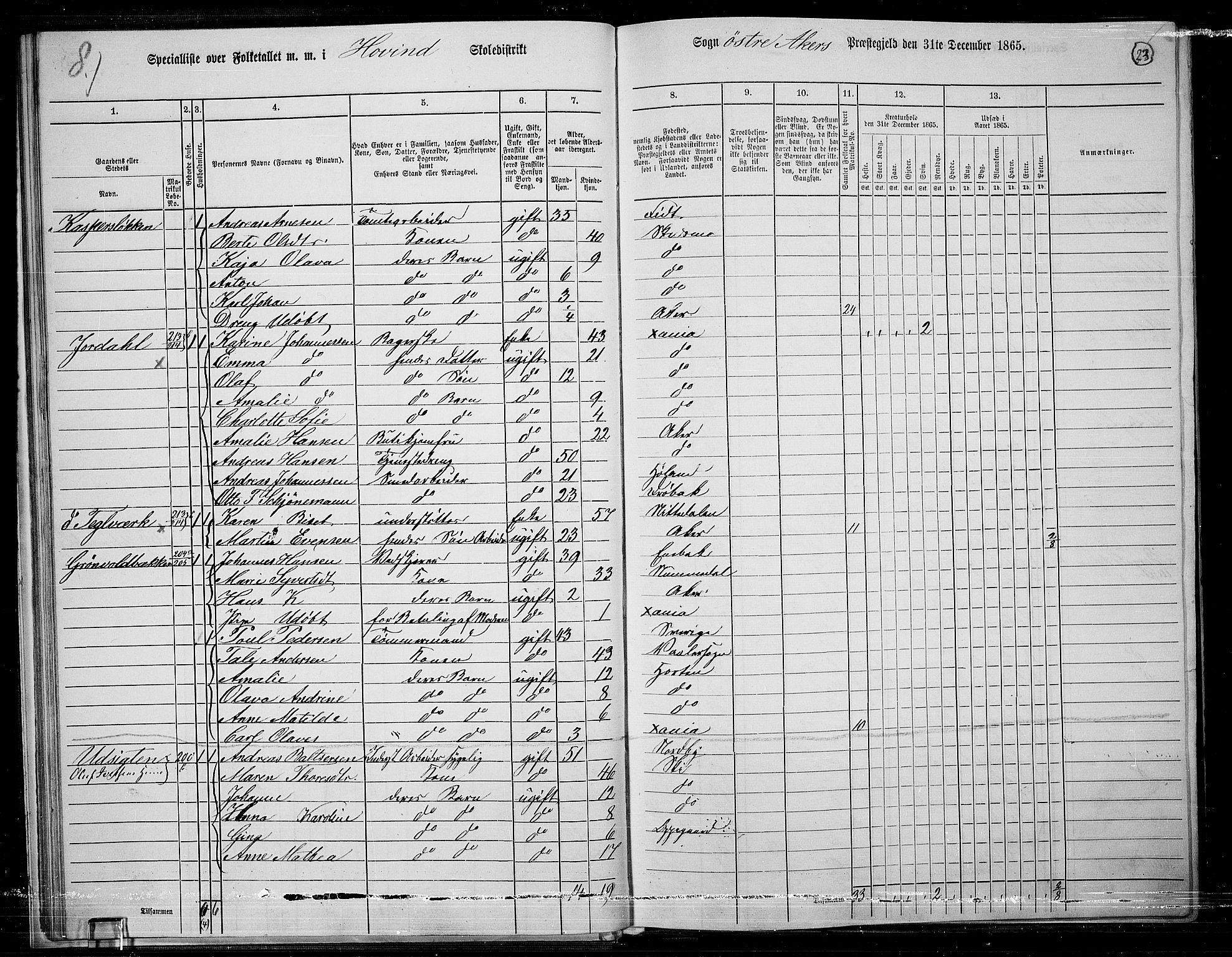 RA, 1865 census for Østre Aker, 1865, p. 247