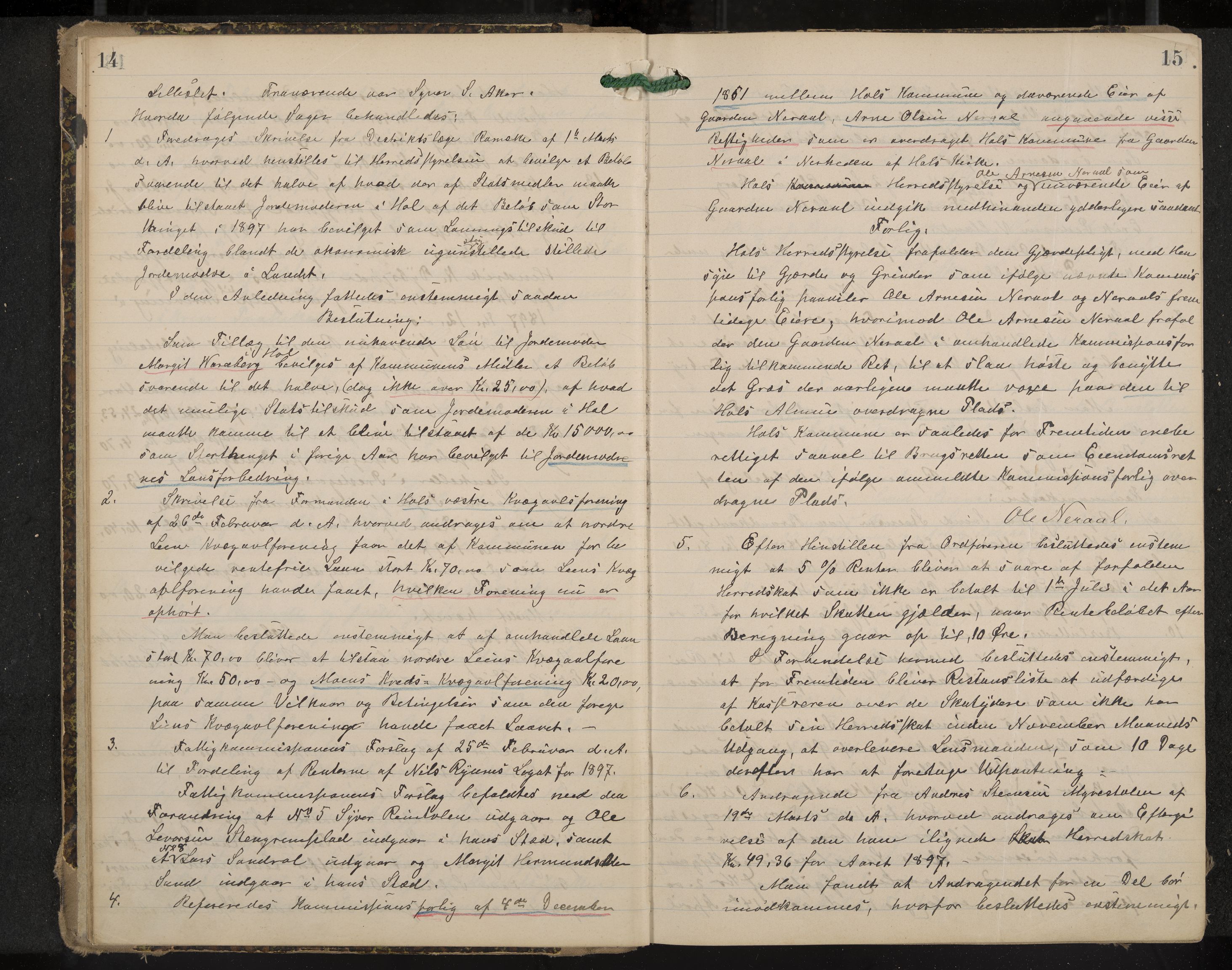 Hol formannskap og sentraladministrasjon, IKAK/0620021-1/A/L0003: Møtebok, 1897-1904, p. 14-15