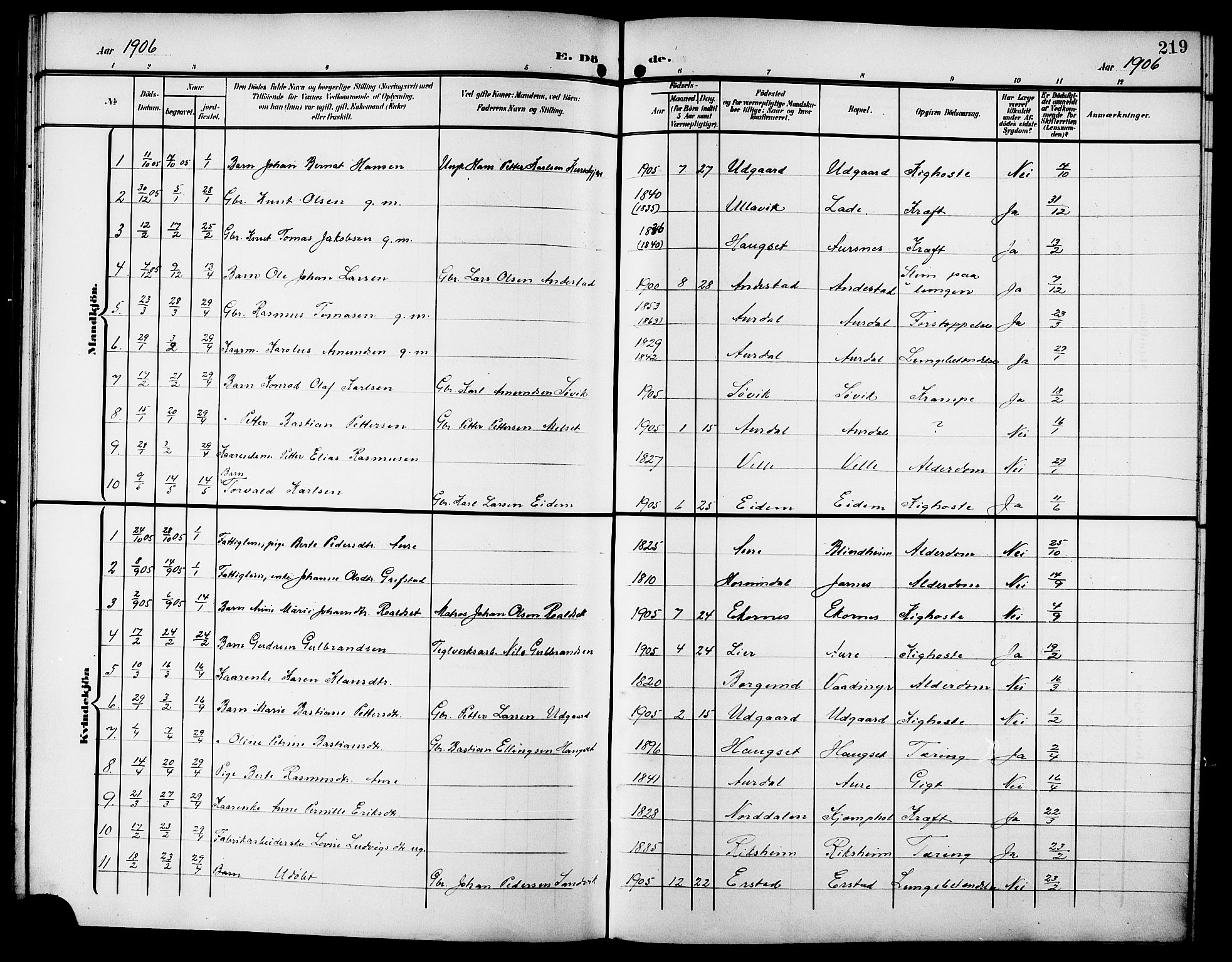 Ministerialprotokoller, klokkerbøker og fødselsregistre - Møre og Romsdal, SAT/A-1454/523/L0341: Parish register (copy) no. 523C04, 1903-1916, p. 219